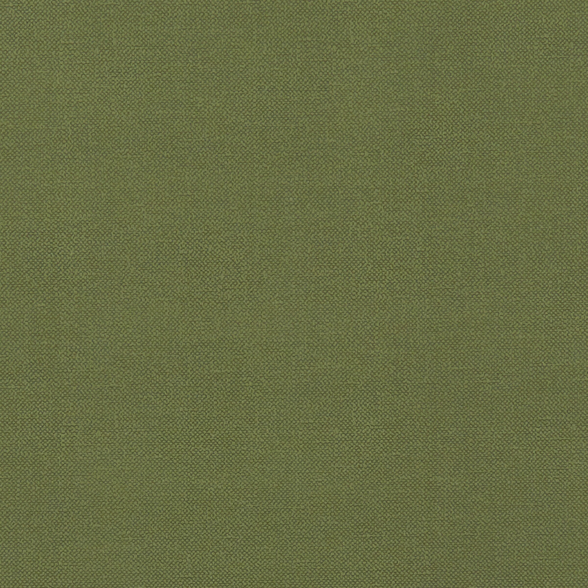 Renzo fabric in forest color - pattern F1231/11.CAC.0 - by Clarke And Clarke in the Renzo By Studio G For C&C collection