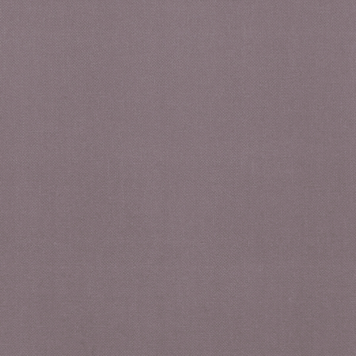 Renzo fabric in heather color - pattern F1231/12.CAC.0 - by Clarke And Clarke in the Renzo By Studio G For C&C collection