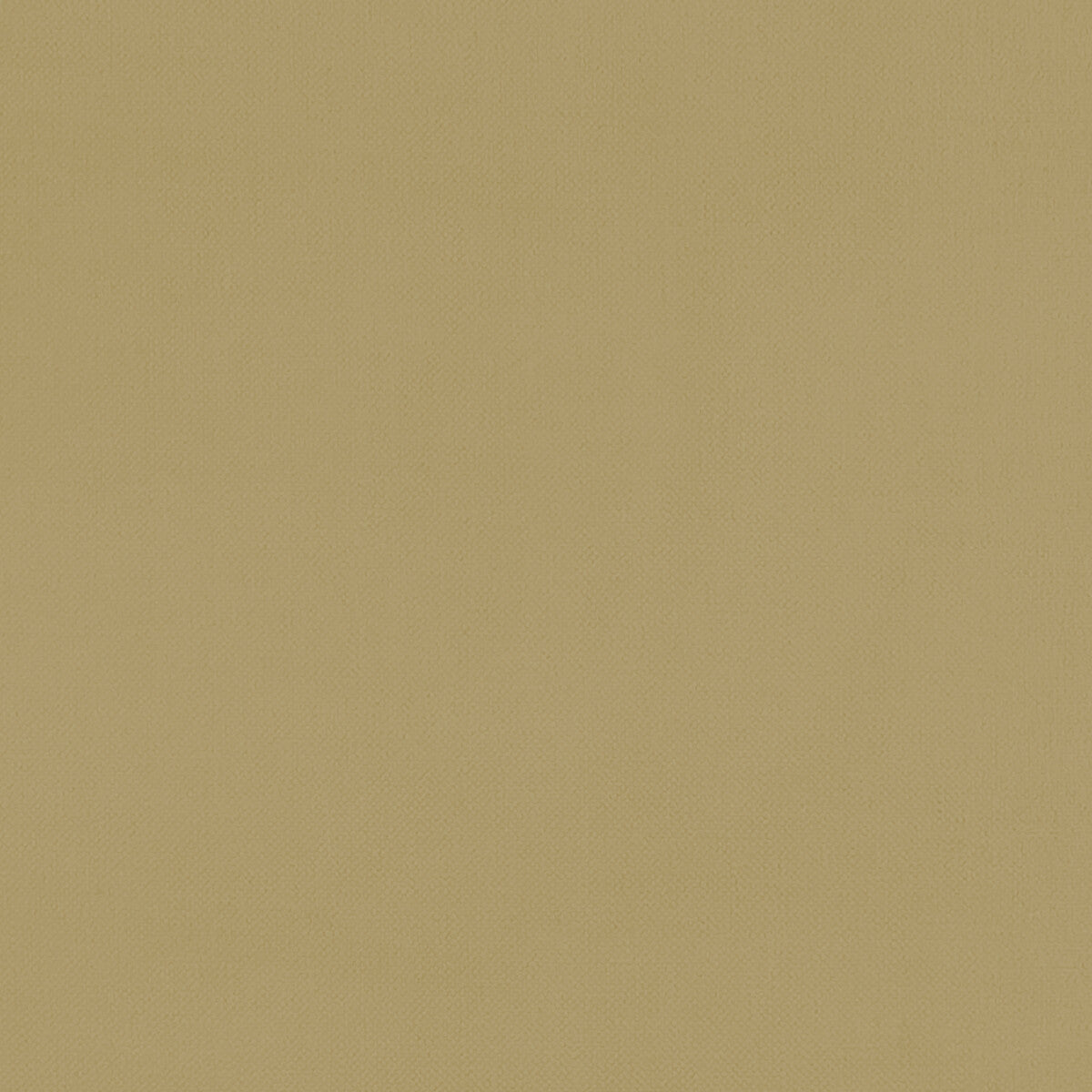 Renzo fabric in ochre color - pattern F1231/18.CAC.0 - by Clarke And Clarke in the Renzo By Studio G For C&C collection
