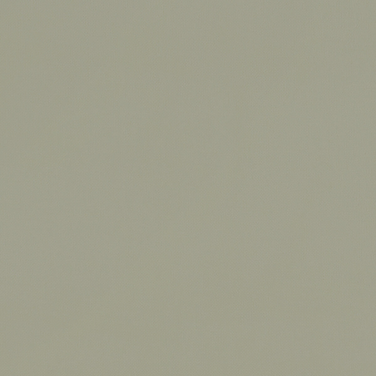 Renzo fabric in sage color - pattern F1231/22.CAC.0 - by Clarke And Clarke in the Renzo By Studio G For C&C collection