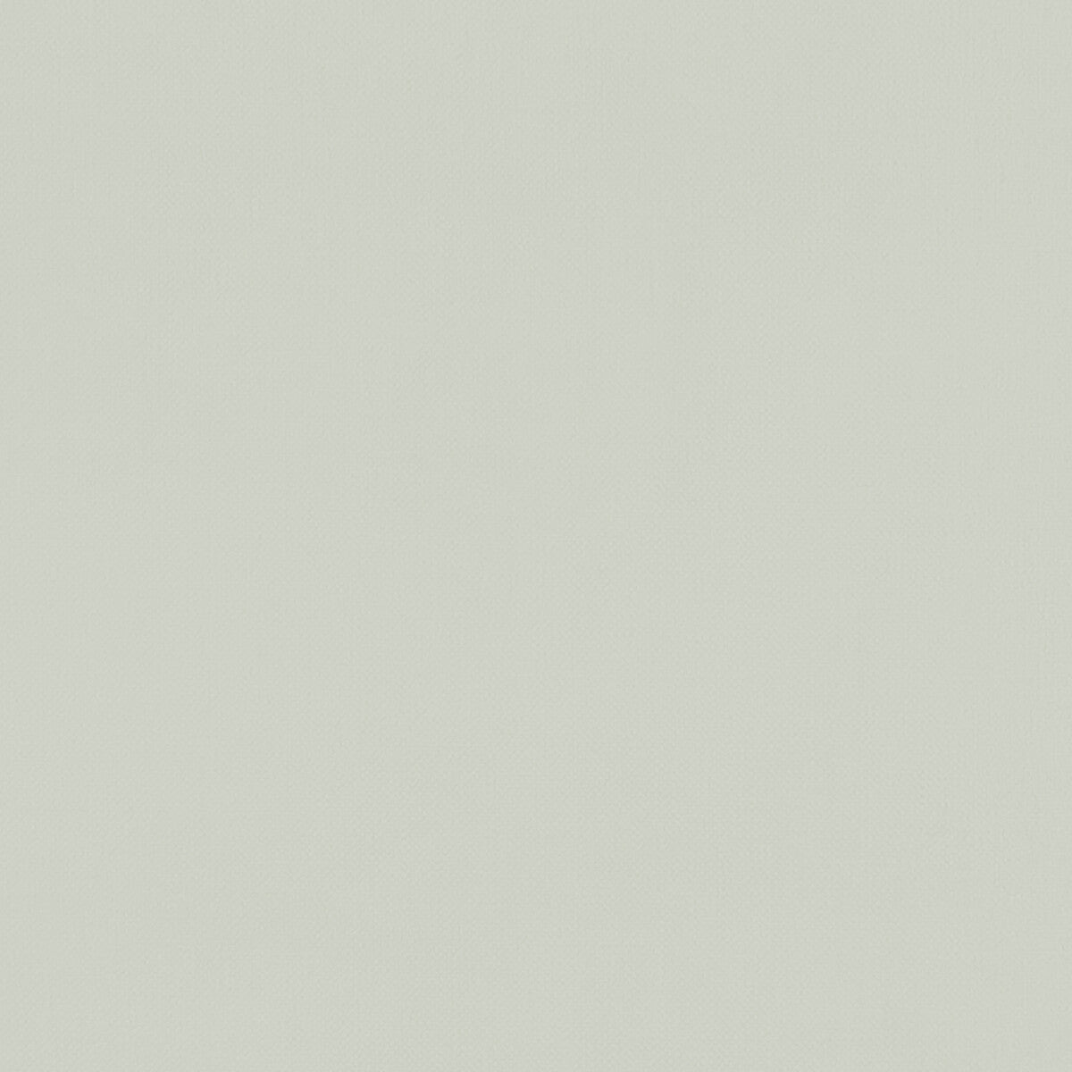 Renzo fabric in silver color - pattern F1231/23.CAC.0 - by Clarke And Clarke in the Renzo By Studio G For C&C collection
