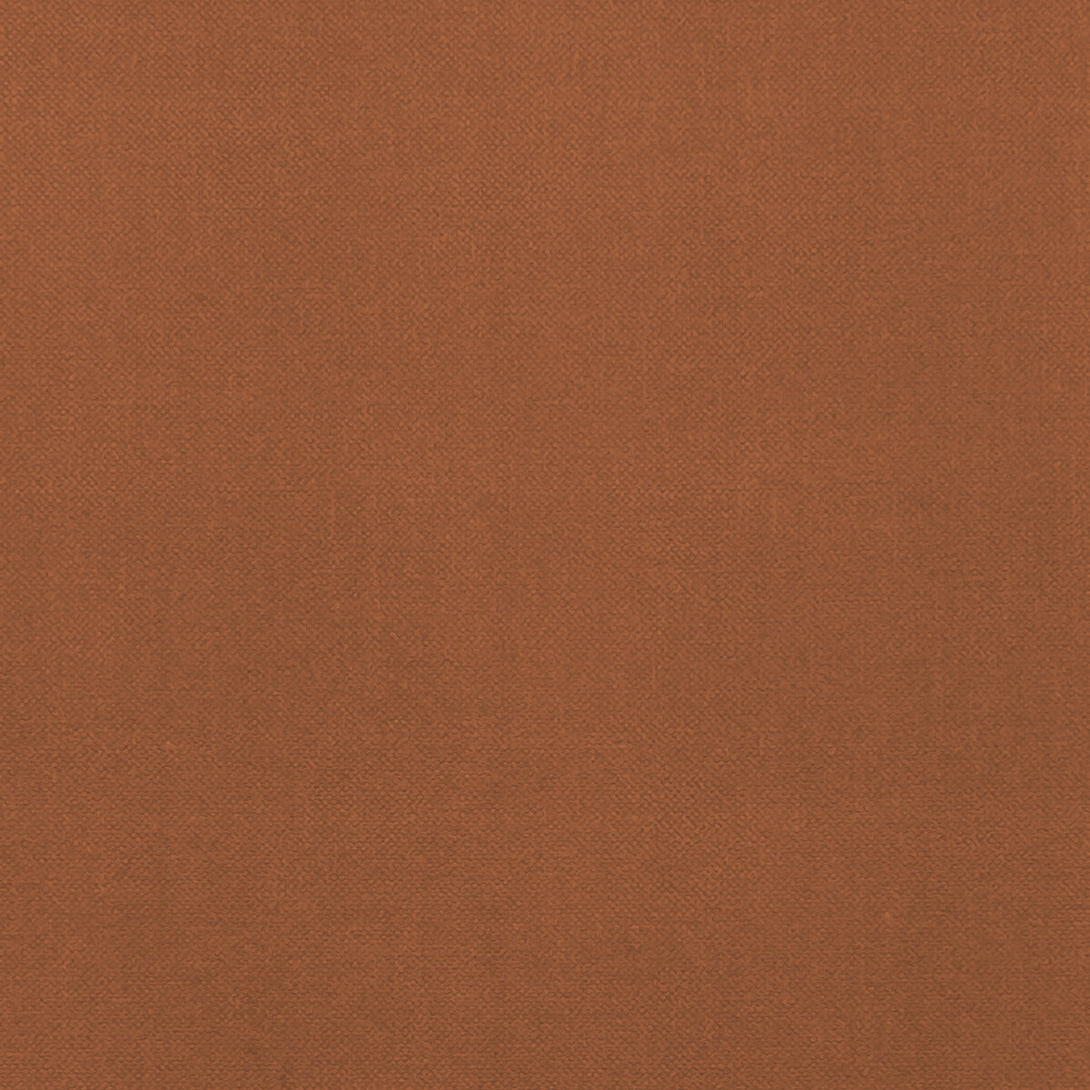 Renzo fabric in spice color - pattern F1231/25.CAC.0 - by Clarke And Clarke in the Renzo By Studio G For C&C collection