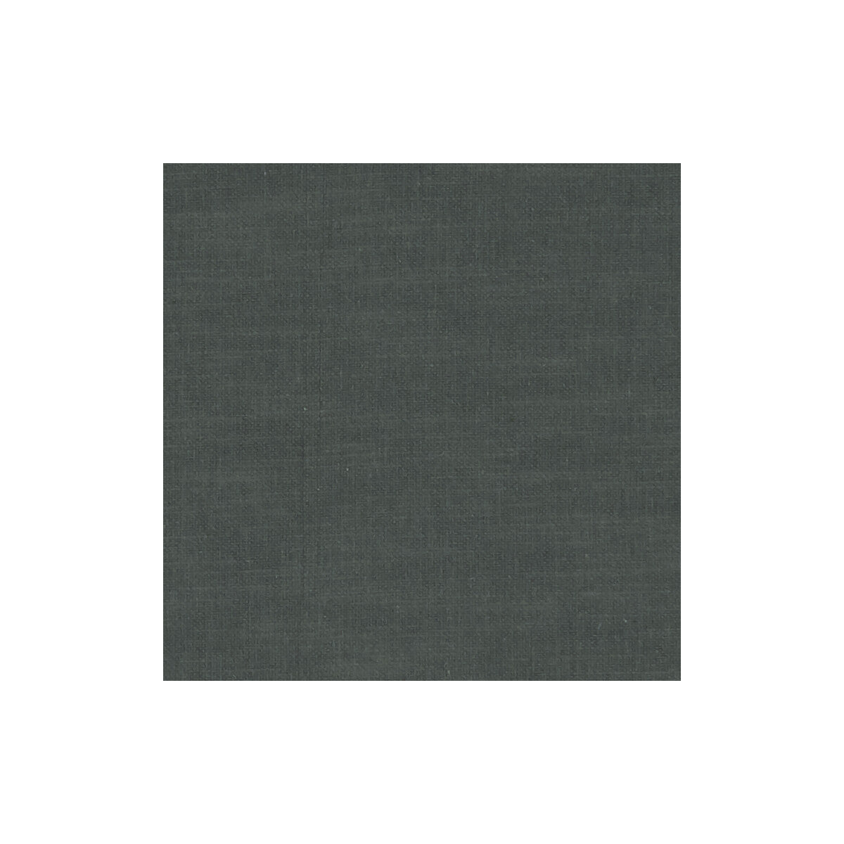 Amalfi fabric in charcoal color - pattern F1239/09.CAC.0 - by Clarke And Clarke in the Clarke & Clarke Amalfi collection