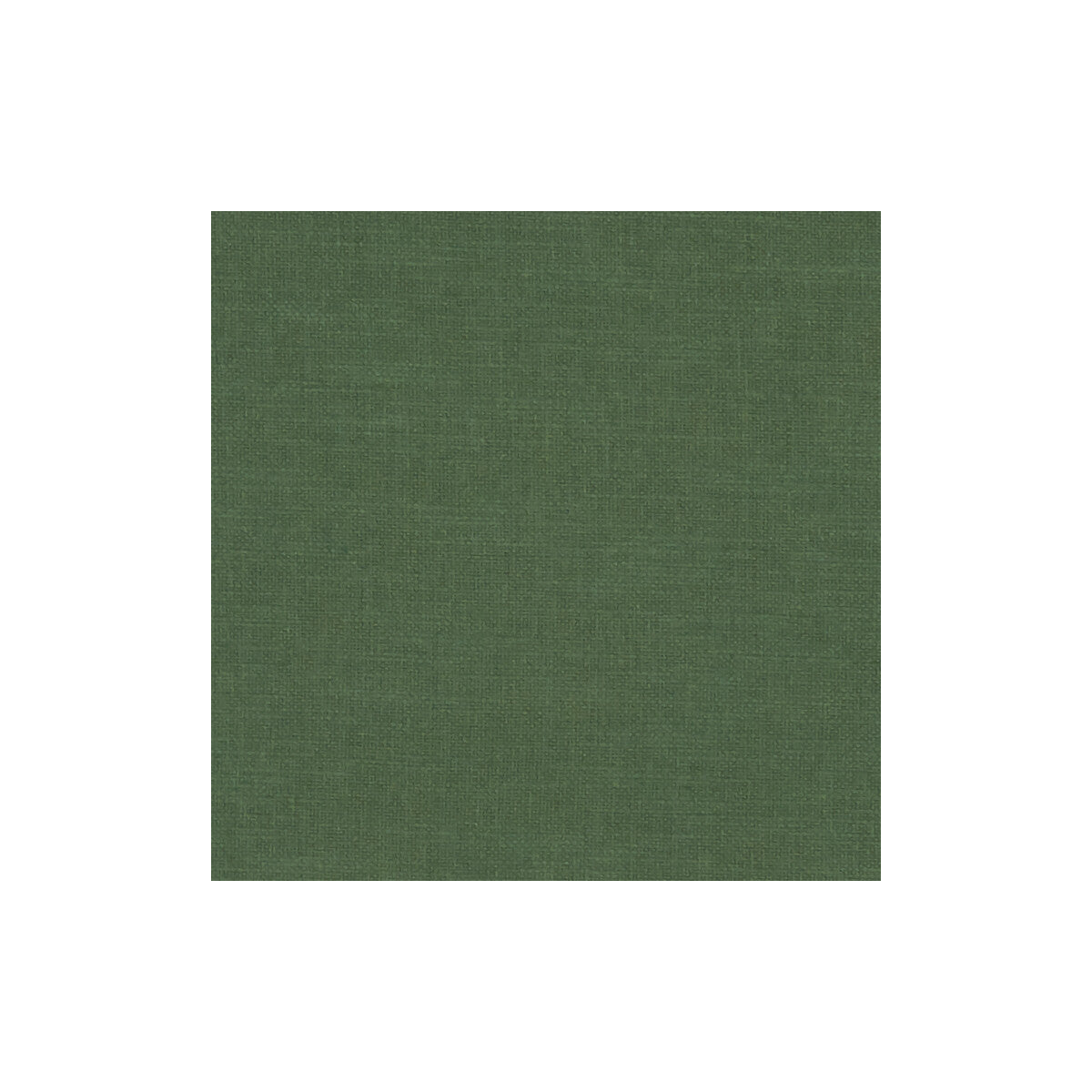 Amalfi fabric in forest color - pattern F1239/25.CAC.0 - by Clarke And Clarke in the Clarke & Clarke Amalfi collection