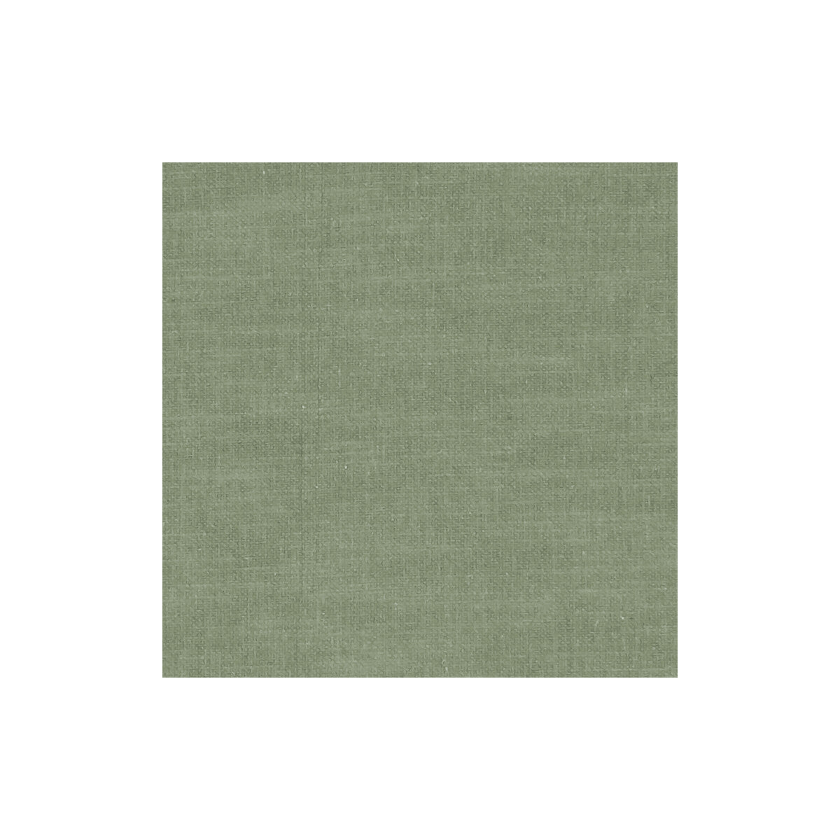 Amalfi fabric in herb color - pattern F1239/30.CAC.0 - by Clarke And Clarke in the Clarke & Clarke Amalfi collection