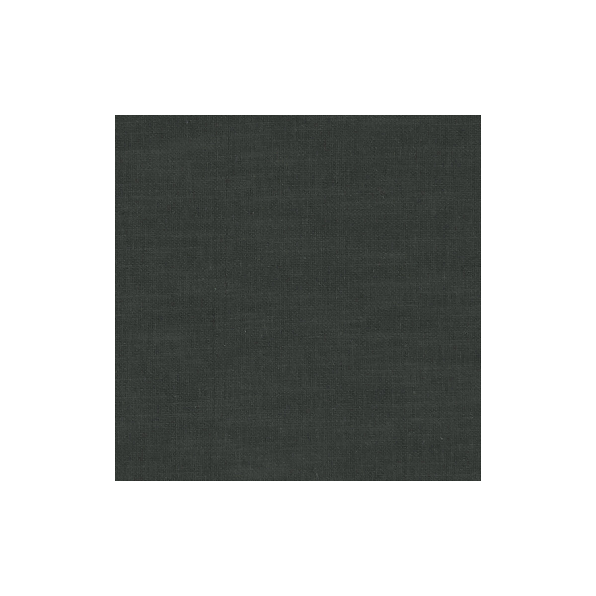 Amalfi fabric in raven color - pattern F1239/53.CAC.0 - by Clarke And Clarke in the Clarke & Clarke Amalfi collection