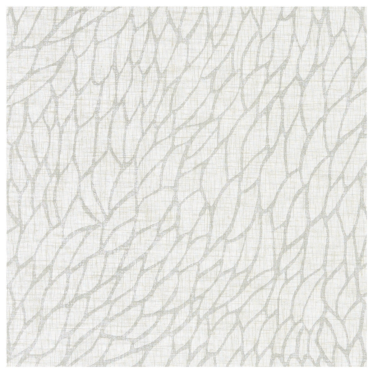 Corallino Sheer fabric in chalk/silver color - pattern F1278/01.CAC.0 - by Clarke And Clarke in the Clarke & Clarke Lusso Sheers collection