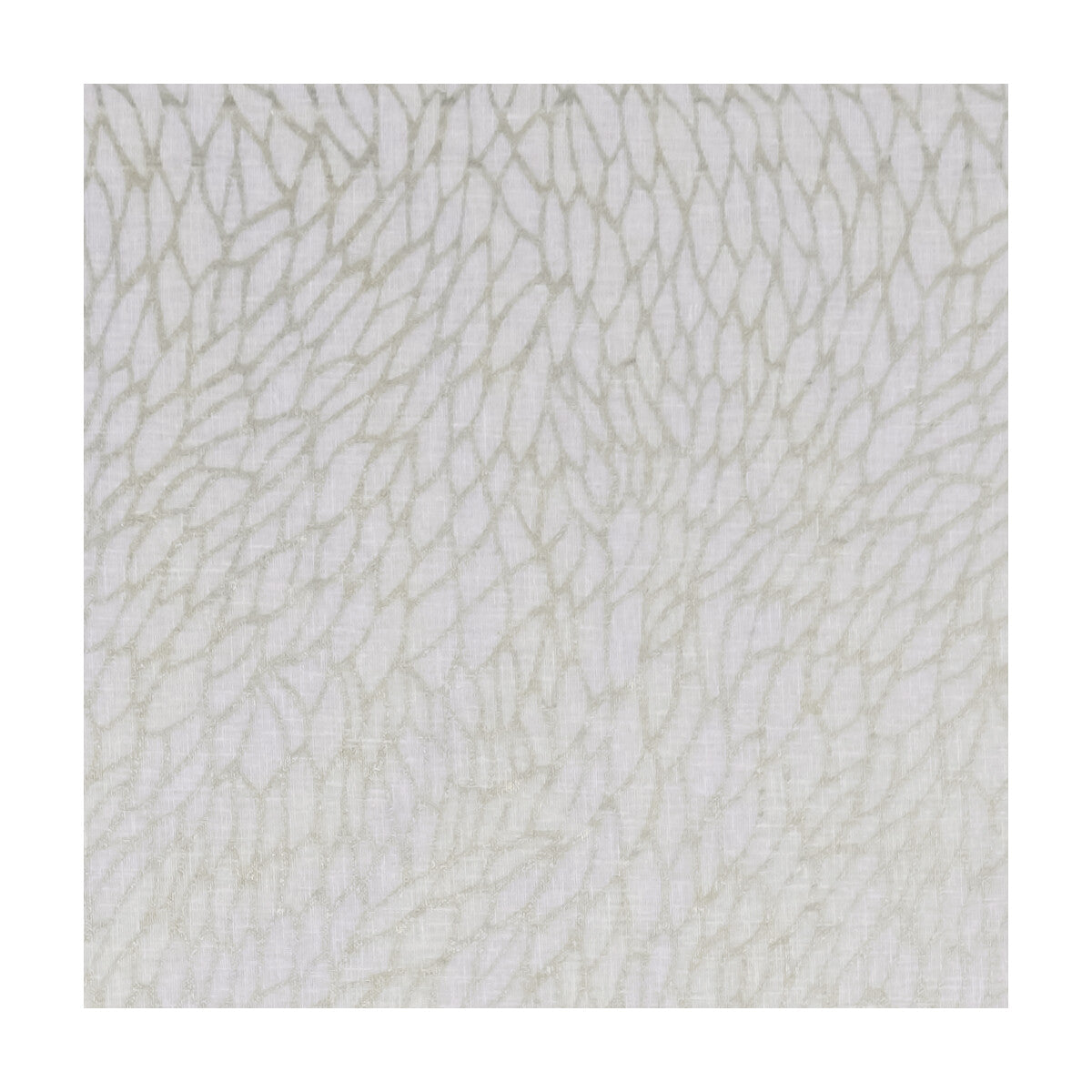 Corallino Sheer fabric in champagne/gold color - pattern F1278/02.CAC.0 - by Clarke And Clarke in the Clarke & Clarke Lusso Sheers collection