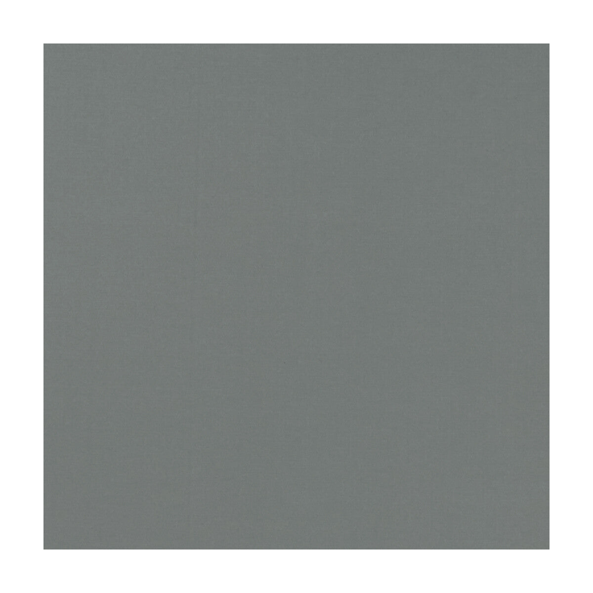Novara fabric in charcoal color - pattern F1294/10.CAC.0 - by Clarke And Clarke in the Clarke & Clarke Novara collection
