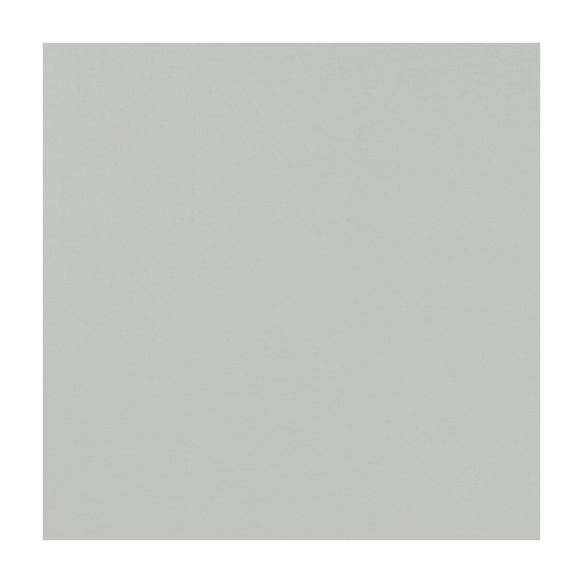 Novara fabric in silver color - pattern F1294/63.CAC.0 - by Clarke And Clarke in the Clarke & Clarke Novara collection