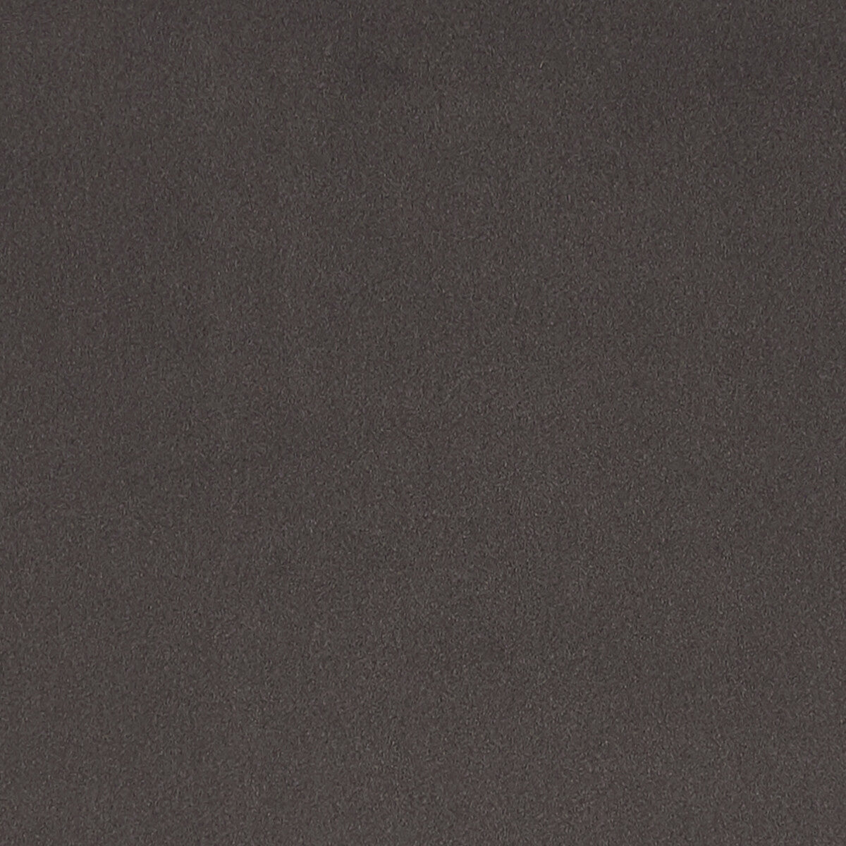 Lucca fabric in ash color - pattern F1295/02.CAC.0 - by Clarke And Clarke in the Alonso By Studio G For C&C collection
