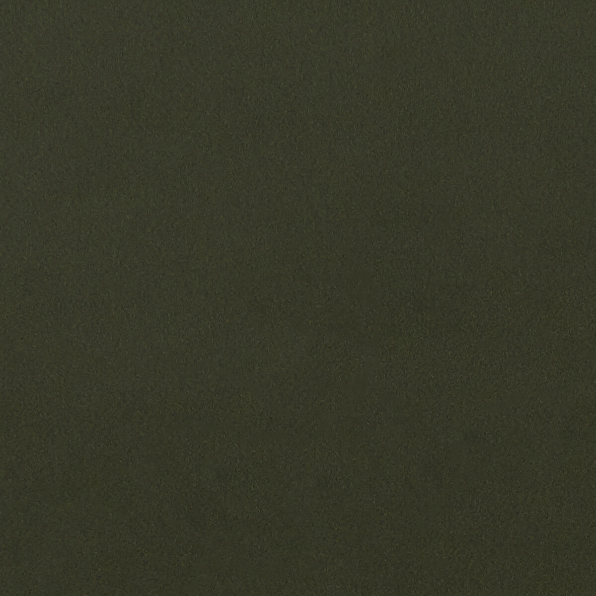 Lucca fabric in chive color - pattern F1295/03.CAC.0 - by Clarke And Clarke in the Alonso By Studio G For C&C collection