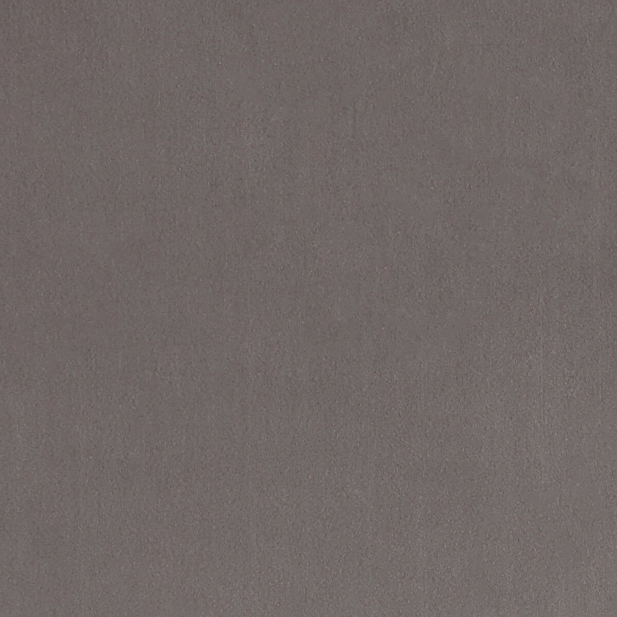 Lucca fabric in dove color - pattern F1295/04.CAC.0 - by Clarke And Clarke in the Alonso By Studio G For C&C collection
