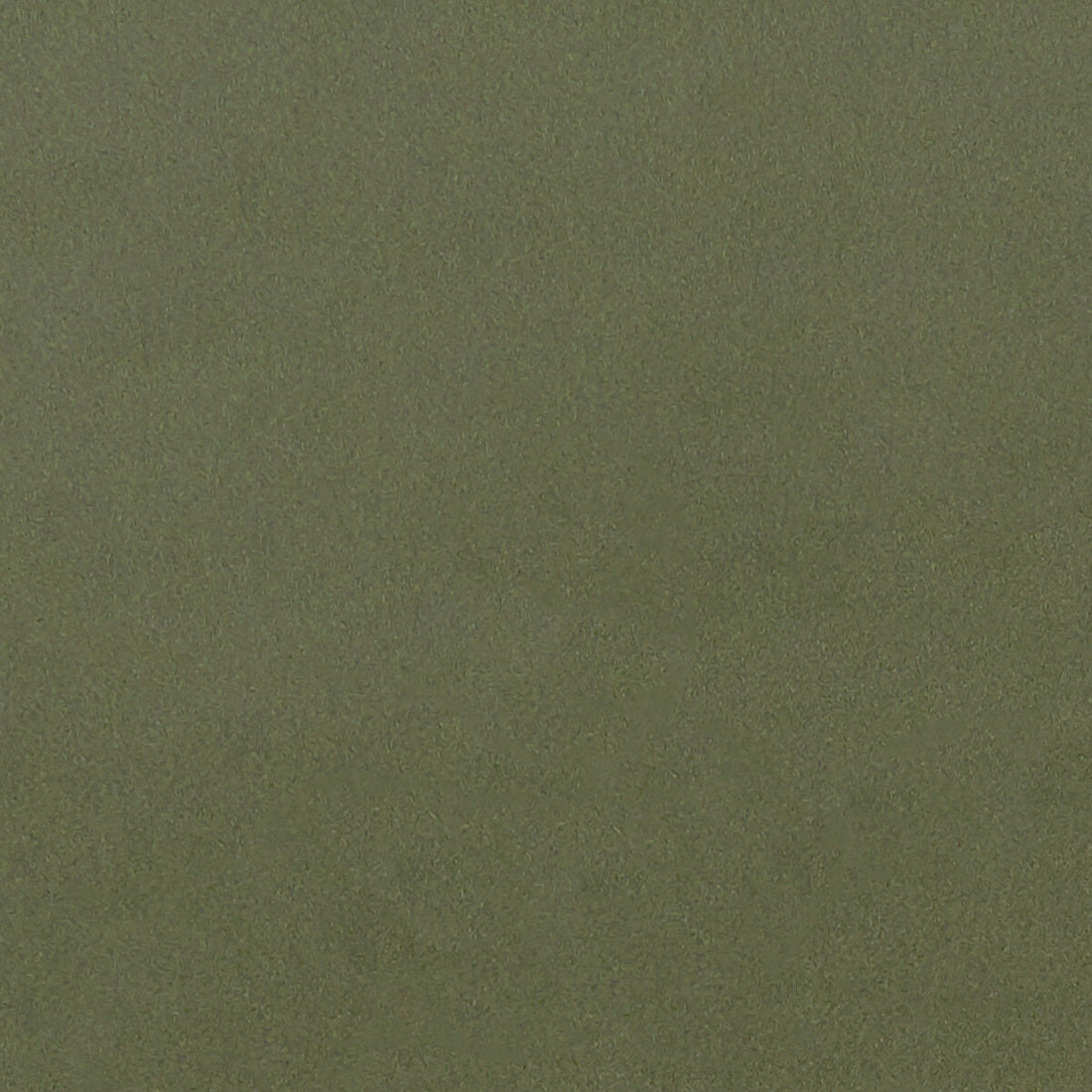Lucca fabric in herb color - pattern F1295/07.CAC.0 - by Clarke And Clarke in the Alonso By Studio G For C&amp;C collection