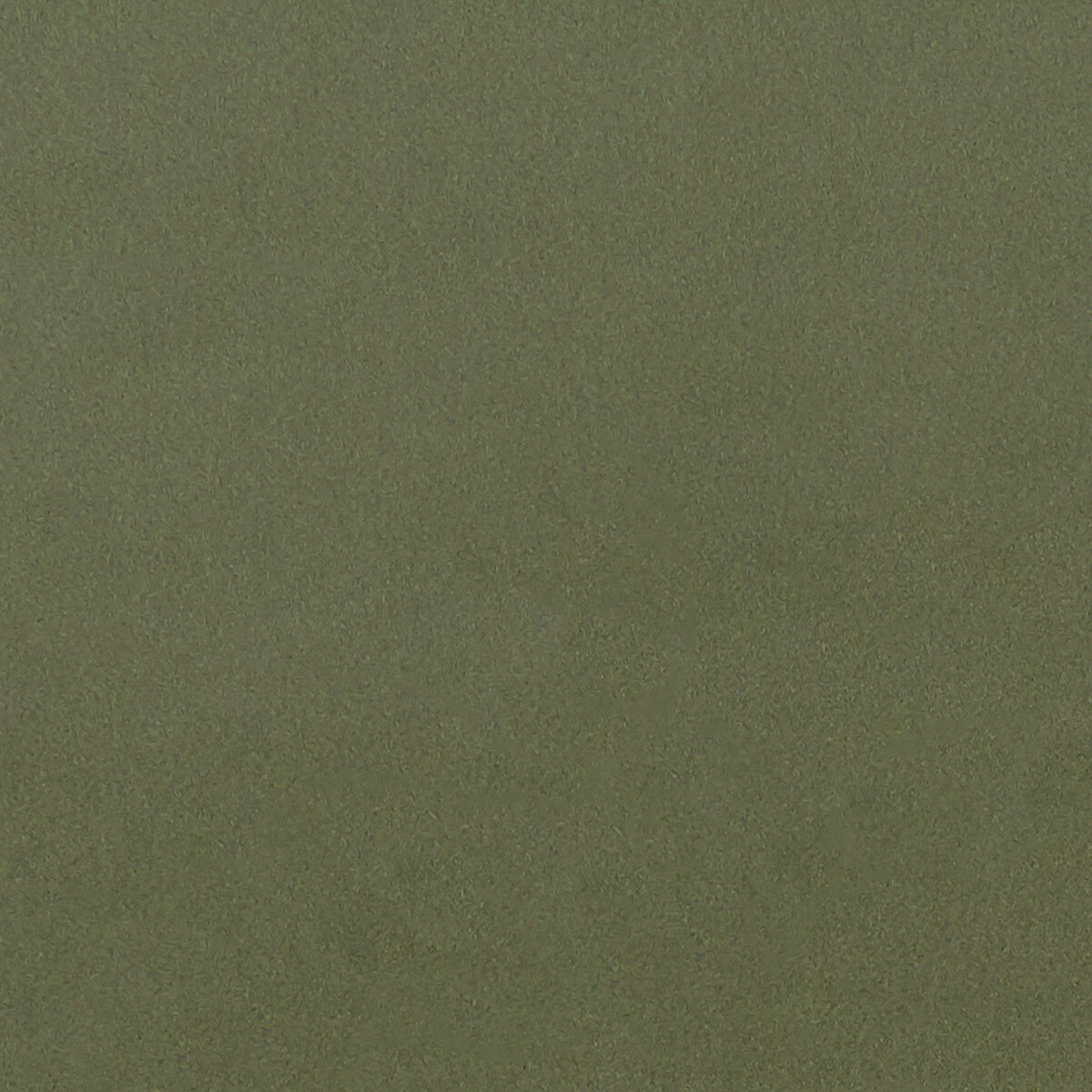 Lucca fabric in herb color - pattern F1295/07.CAC.0 - by Clarke And Clarke in the Alonso By Studio G For C&C collection