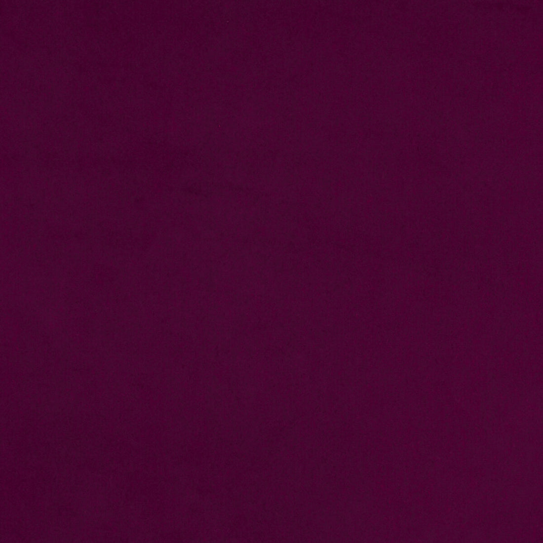 Lucca fabric in magenta color - pattern F1295/08.CAC.0 - by Clarke And Clarke in the Alonso By Studio G For C&amp;C collection