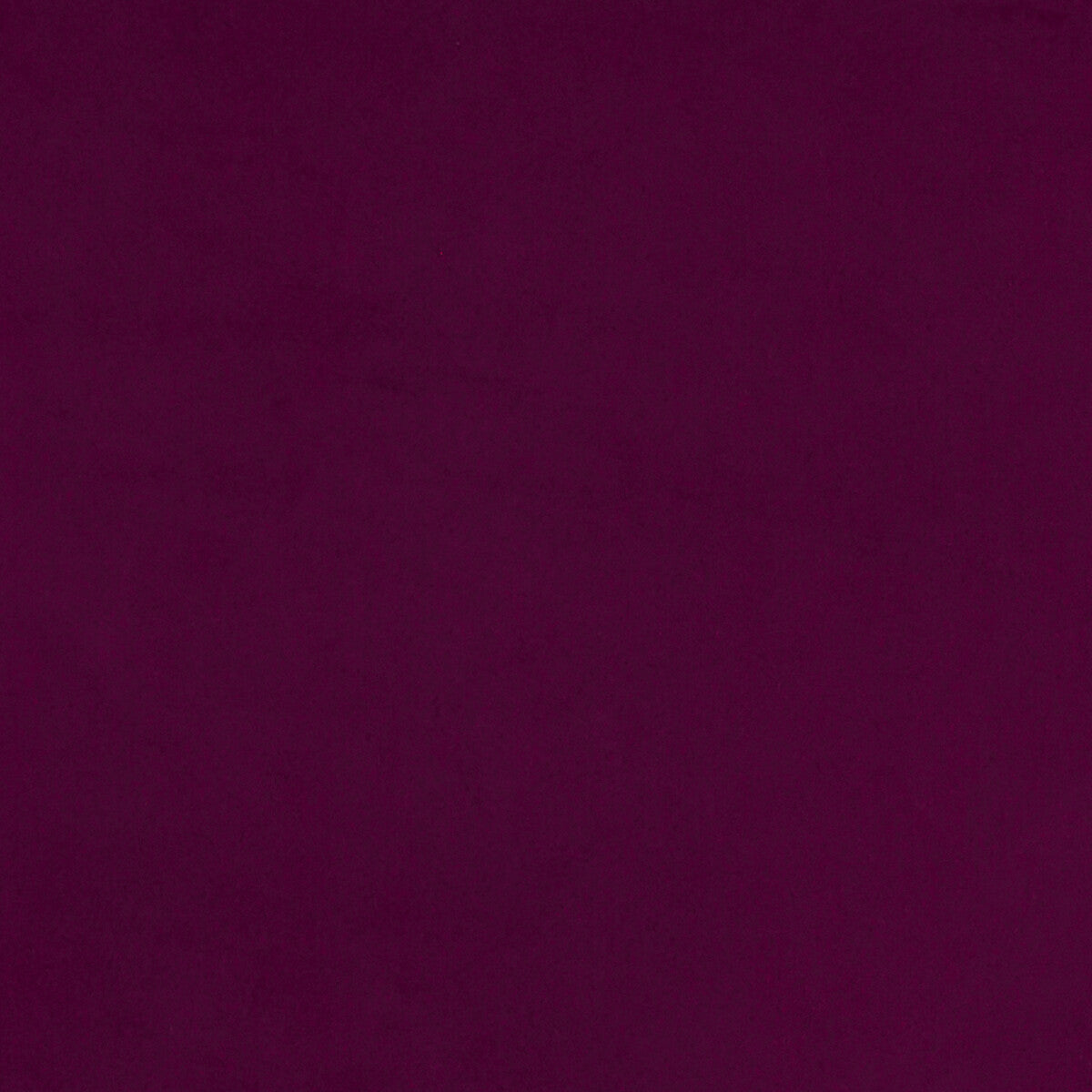 Lucca fabric in magenta color - pattern F1295/08.CAC.0 - by Clarke And Clarke in the Alonso By Studio G For C&C collection
