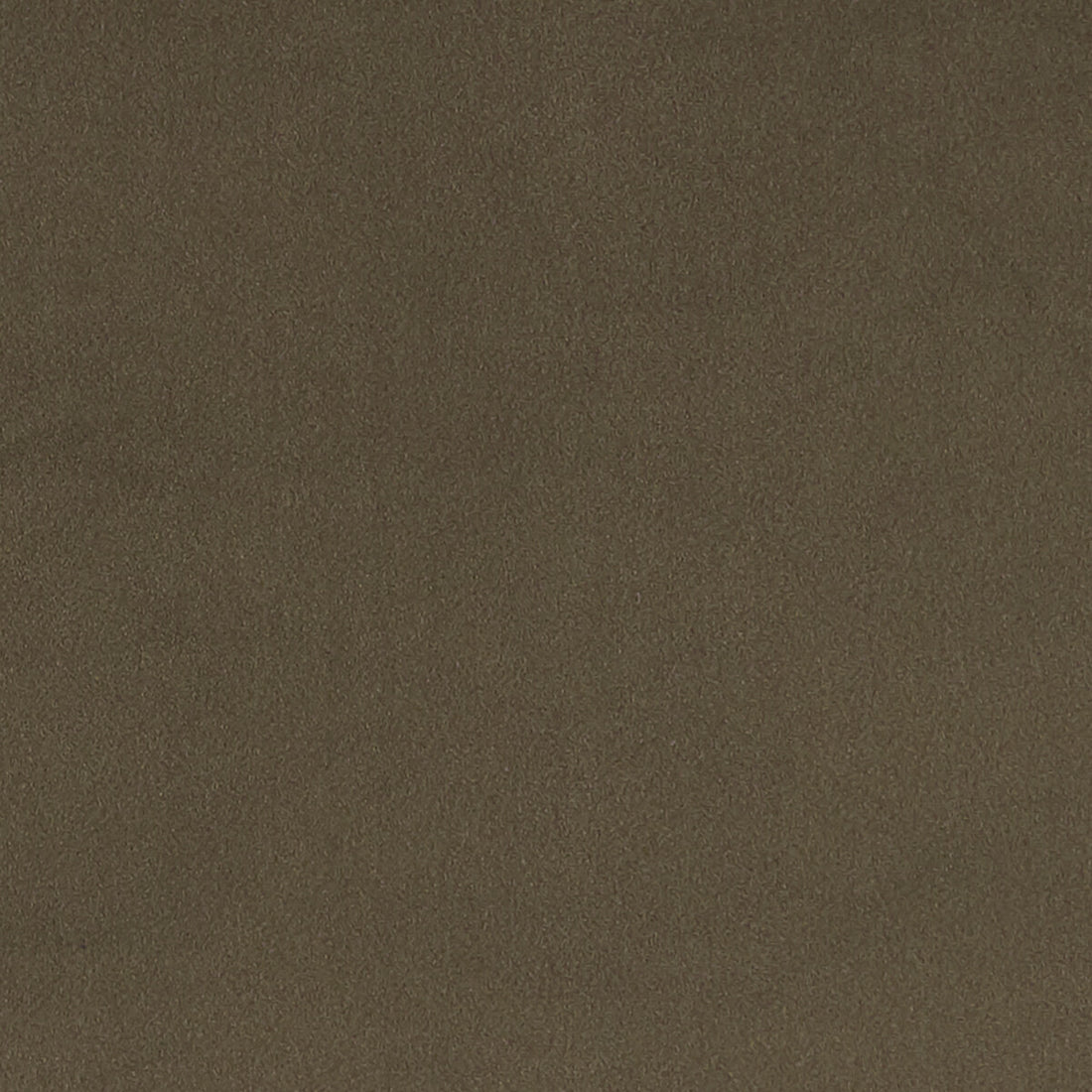 Lucca fabric in mocha color - pattern F1295/09.CAC.0 - by Clarke And Clarke in the Alonso By Studio G For C&amp;C collection