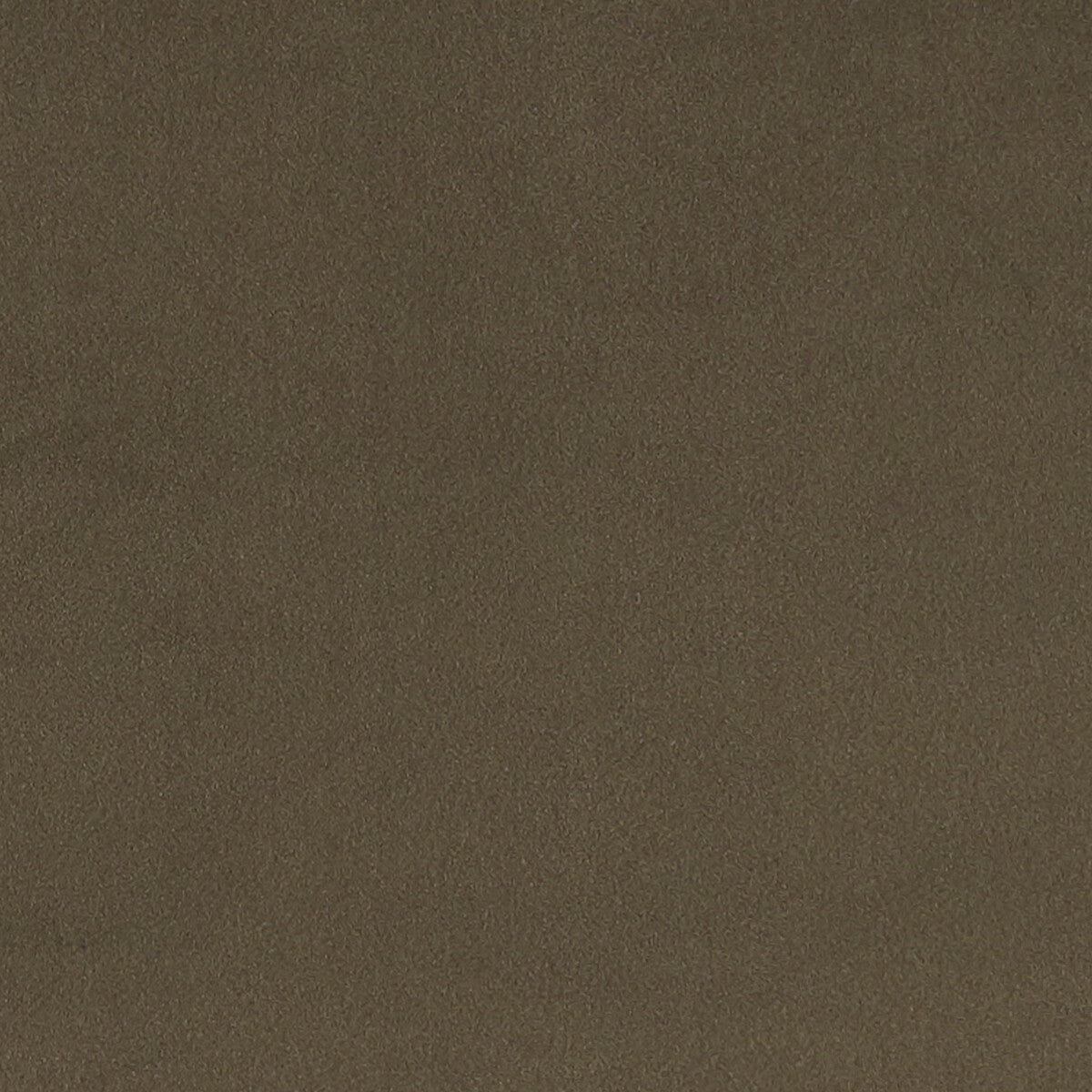 Lucca fabric in mocha color - pattern F1295/09.CAC.0 - by Clarke And Clarke in the Alonso By Studio G For C&C collection