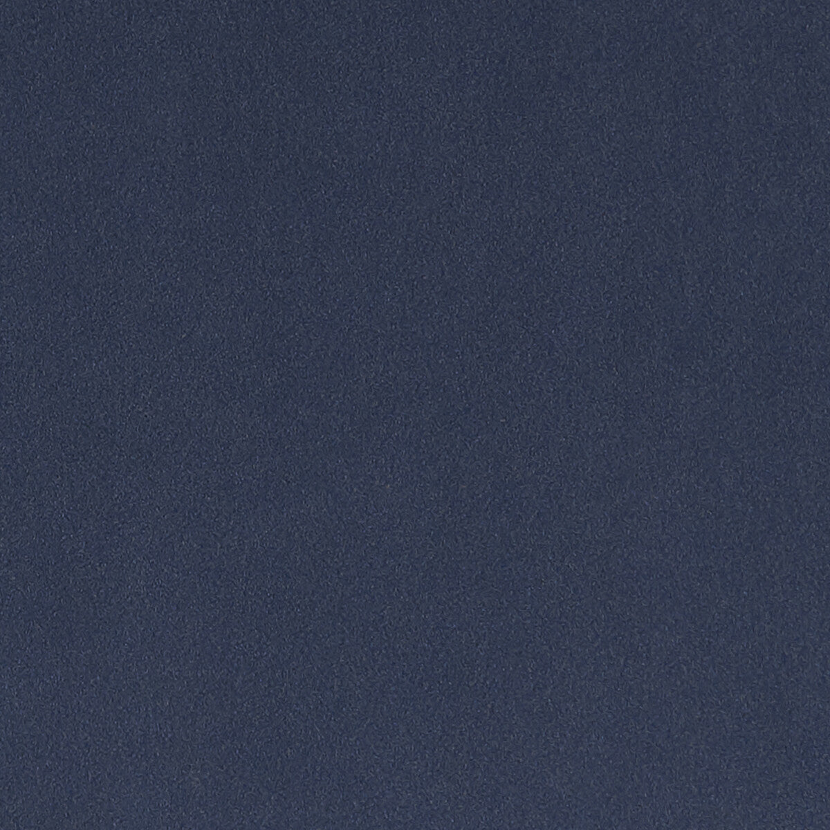 Lucca fabric in navy color - pattern F1295/10.CAC.0 - by Clarke And Clarke in the Alonso By Studio G For C&C collection