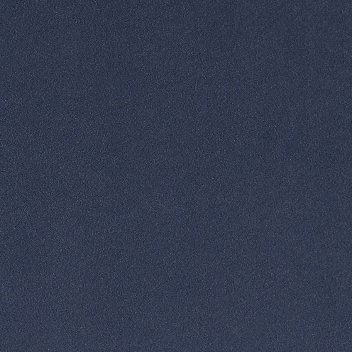 Lucca fabric in navy color - pattern F1295/10.CAC.0 - by Clarke And Clarke in the Alonso By Studio G For C&amp;C collection