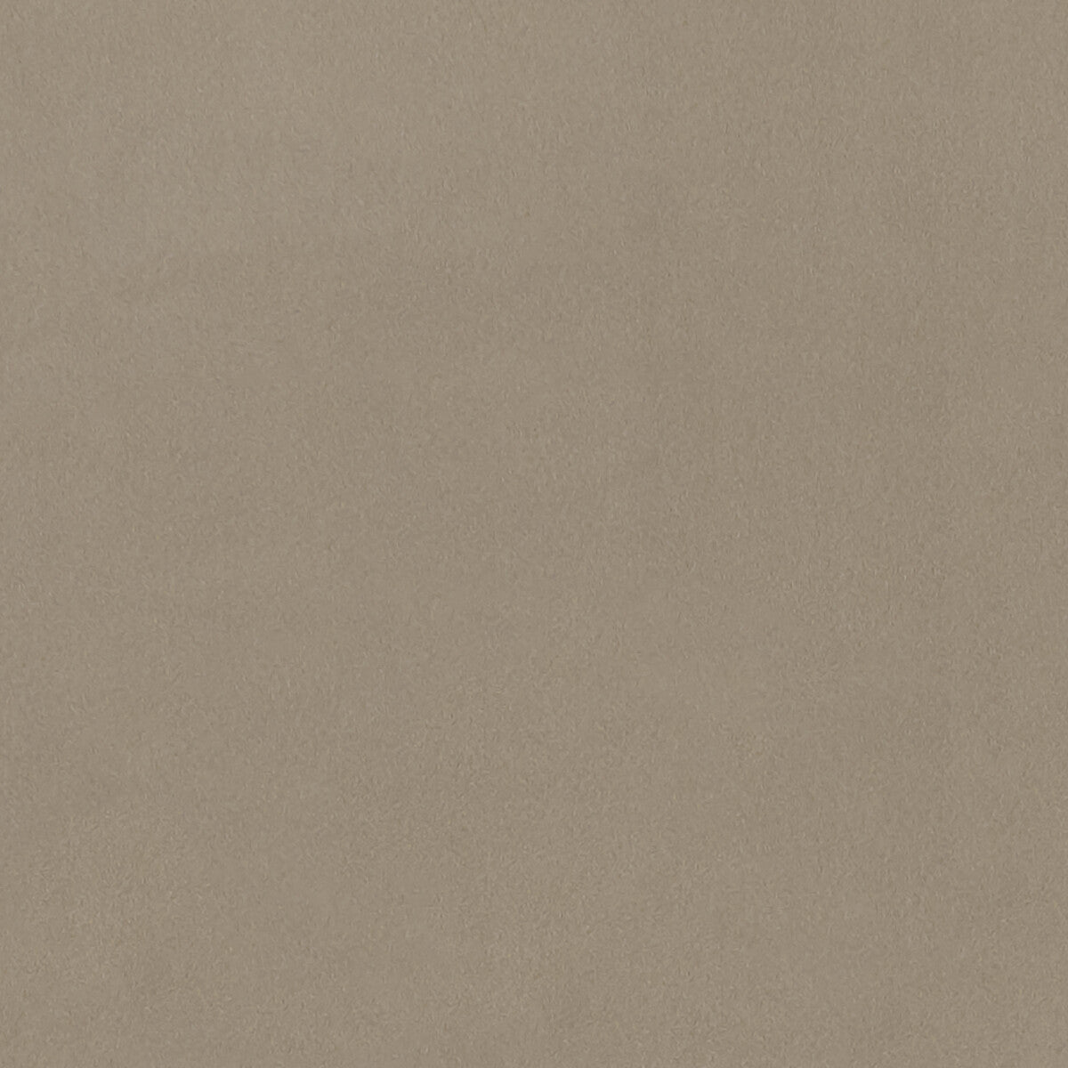 Lucca fabric in sand color - pattern F1295/11.CAC.0 - by Clarke And Clarke in the Alonso By Studio G For C&C collection