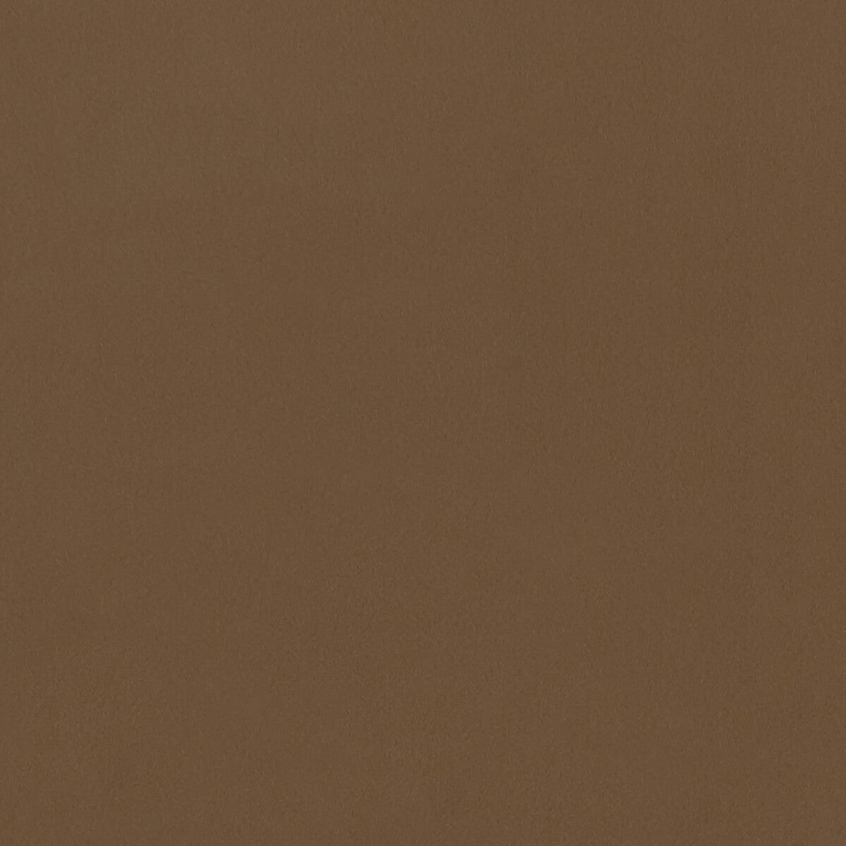 Lucca fabric in sesame color - pattern F1295/12.CAC.0 - by Clarke And Clarke in the Alonso By Studio G For C&C collection