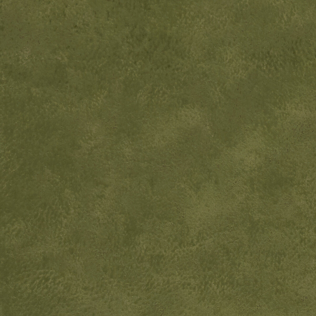 Nola fabric in olive color - pattern F1296/11.CAC.0 - by Clarke And Clarke in the Alonso By Studio G For C&amp;C collection