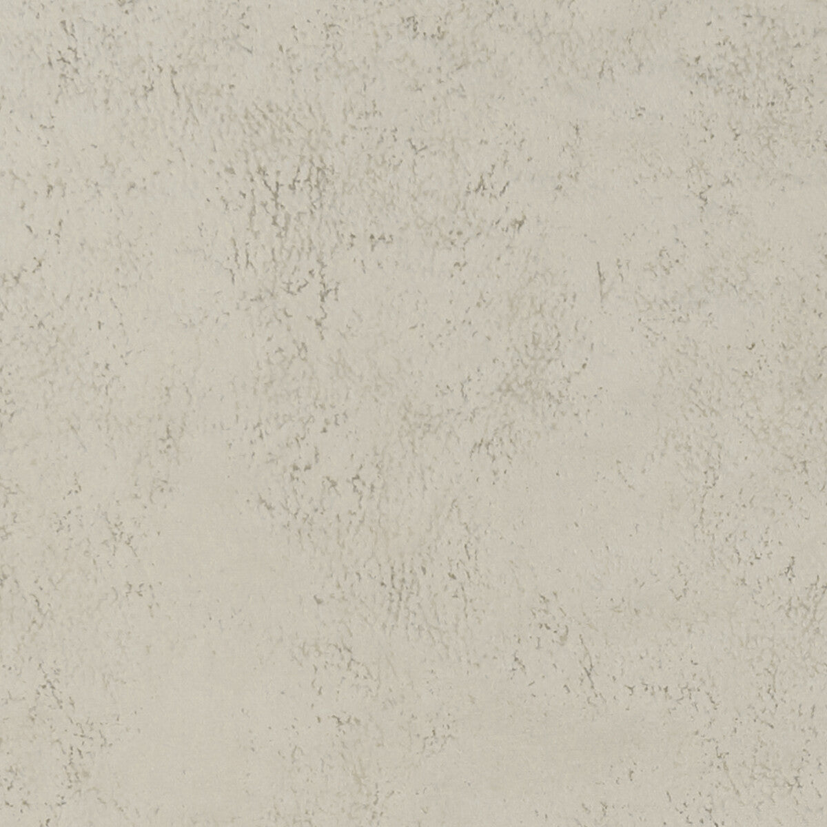 Nola fabric in oyster color - pattern F1296/12.CAC.0 - by Clarke And Clarke in the Alonso By Studio G For C&C collection