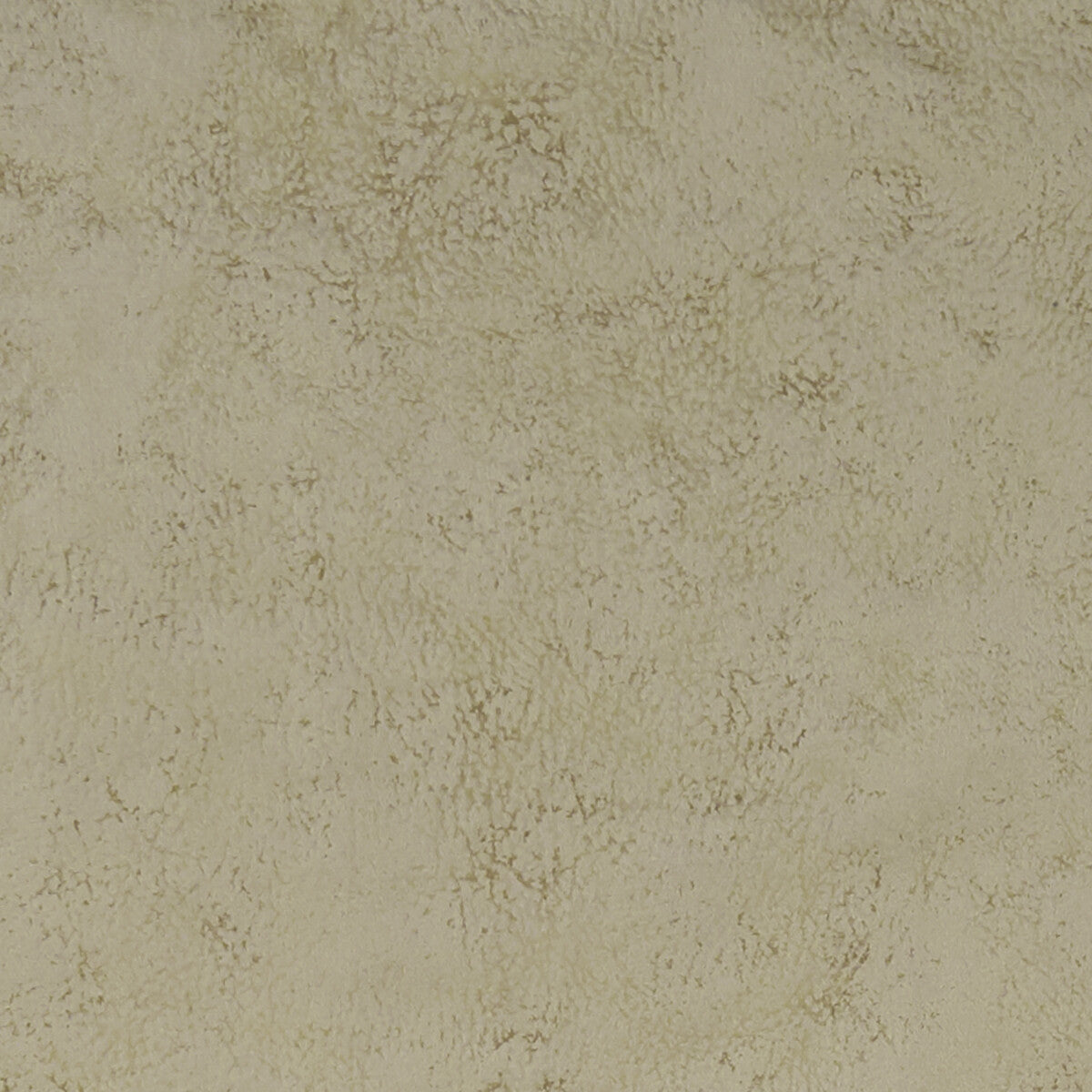 Nola fabric in silver color - pattern F1296/13.CAC.0 - by Clarke And Clarke in the Alonso By Studio G For C&C collection