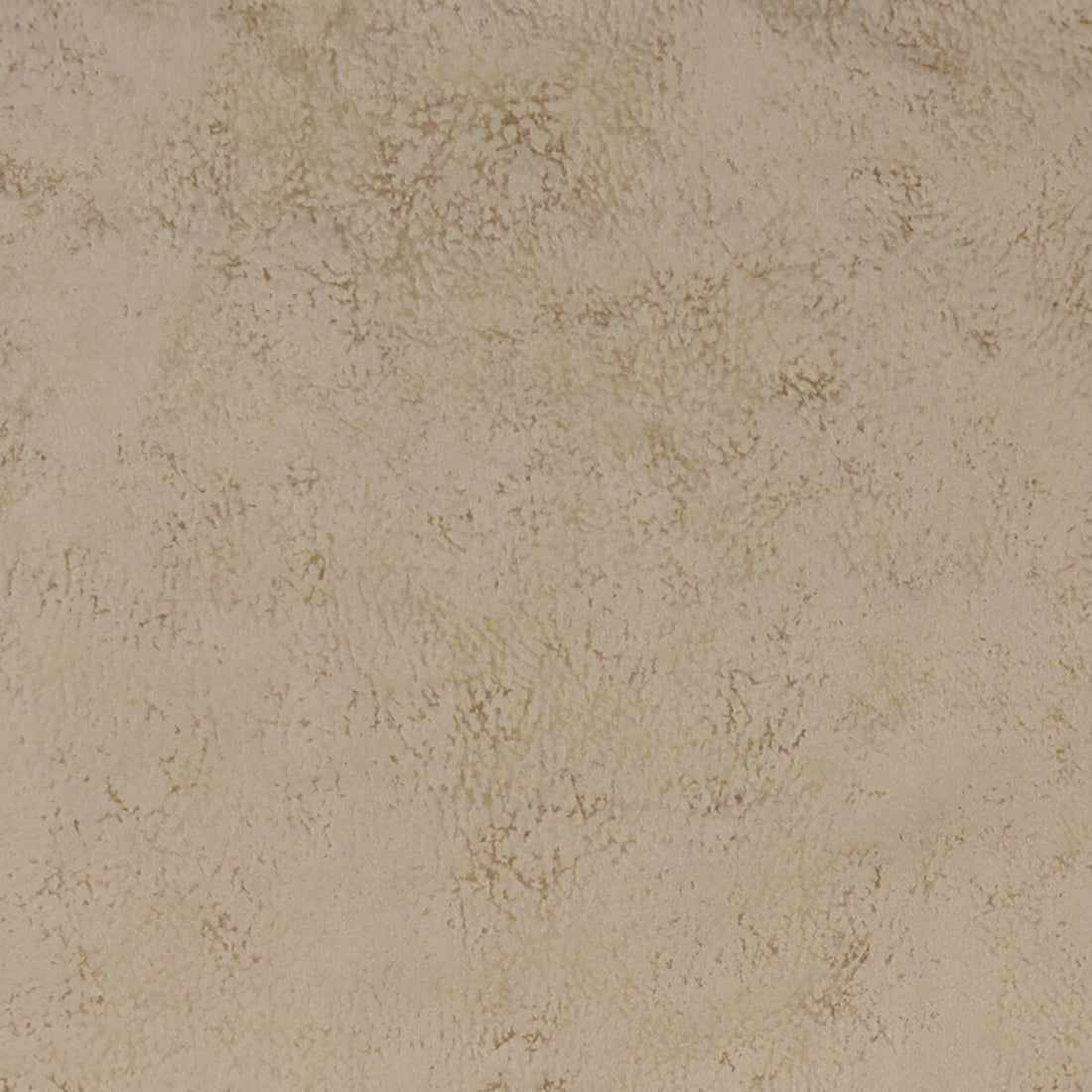 Nola fabric in stone color - pattern F1296/15.CAC.0 - by Clarke And Clarke in the Alonso By Studio G For C&amp;C collection