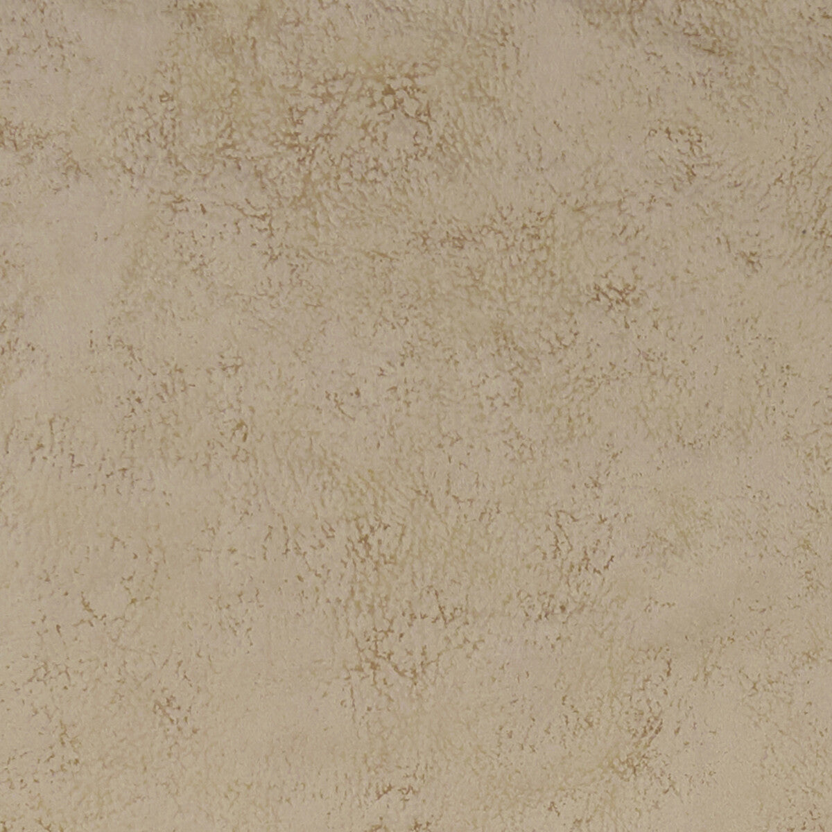Nola fabric in stone color - pattern F1296/15.CAC.0 - by Clarke And Clarke in the Alonso By Studio G For C&C collection