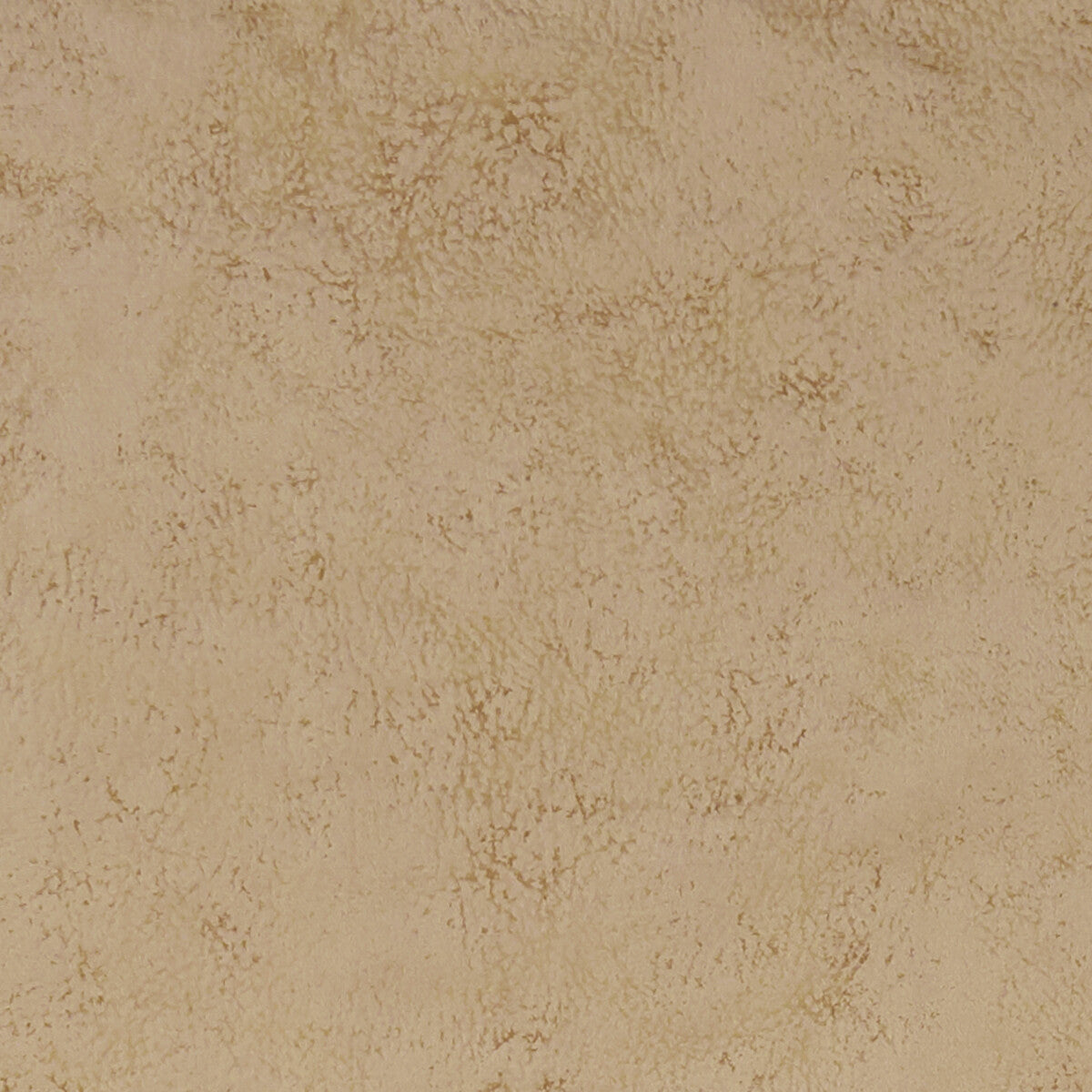 Nola fabric in taupe color - pattern F1296/16.CAC.0 - by Clarke And Clarke in the Alonso By Studio G For C&C collection