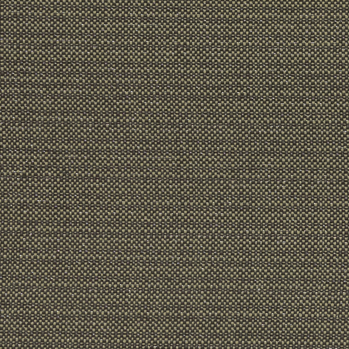 Kauai fabric in charcoal color - pattern F1299/02.CAC.0 - by Clarke And Clarke in the Clarke &amp; Clarke Exotica collection