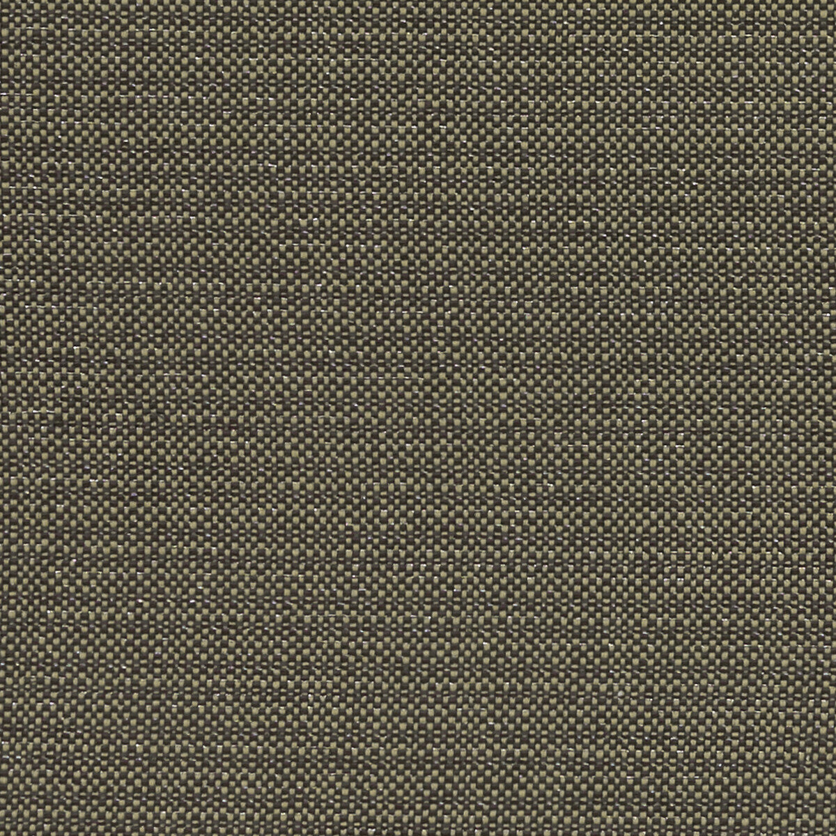 Kauai fabric in charcoal color - pattern F1299/02.CAC.0 - by Clarke And Clarke in the Clarke & Clarke Exotica collection