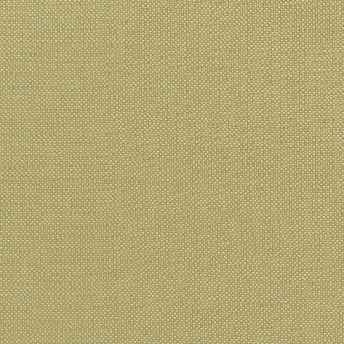 Kauai fabric in citron color - pattern F1299/03.CAC.0 - by Clarke And Clarke in the Clarke & Clarke Exotica collection