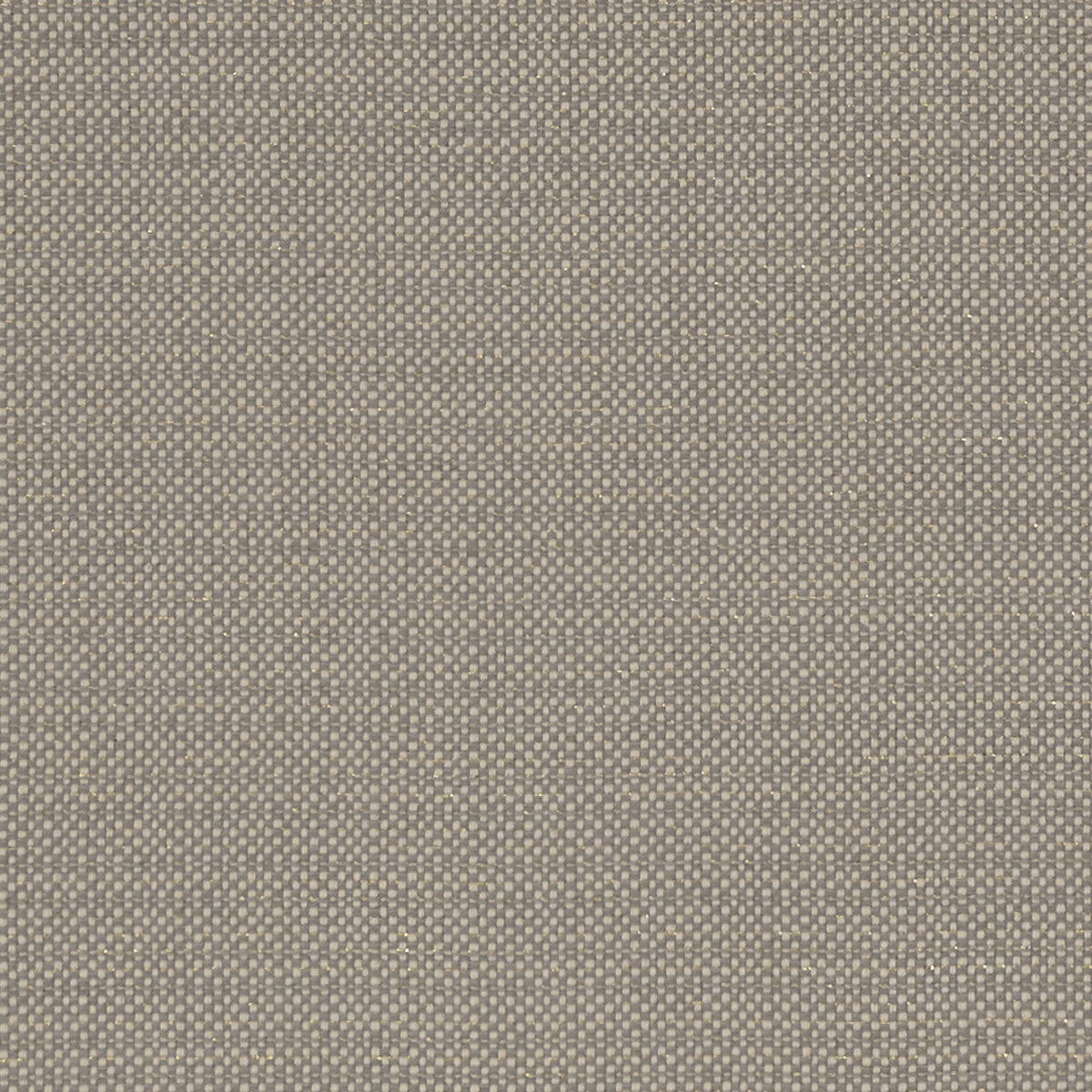 Kauai fabric in mocha color - pattern F1299/07.CAC.0 - by Clarke And Clarke in the Clarke & Clarke Exotica collection