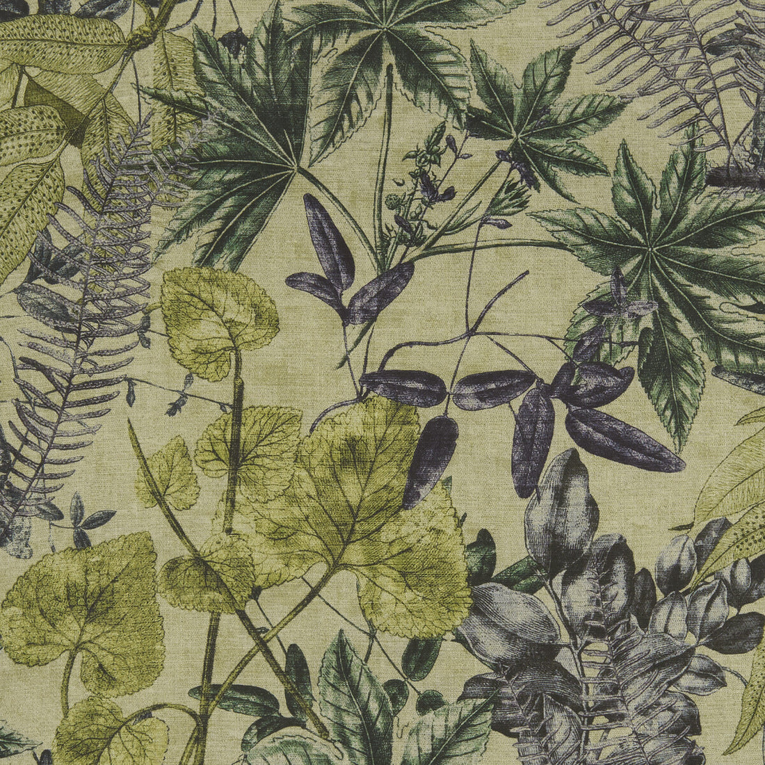 Madagascar fabric in forest color - pattern F1301/02.CAC.0 - by Clarke And Clarke in the Clarke &amp; Clarke Exotica collection