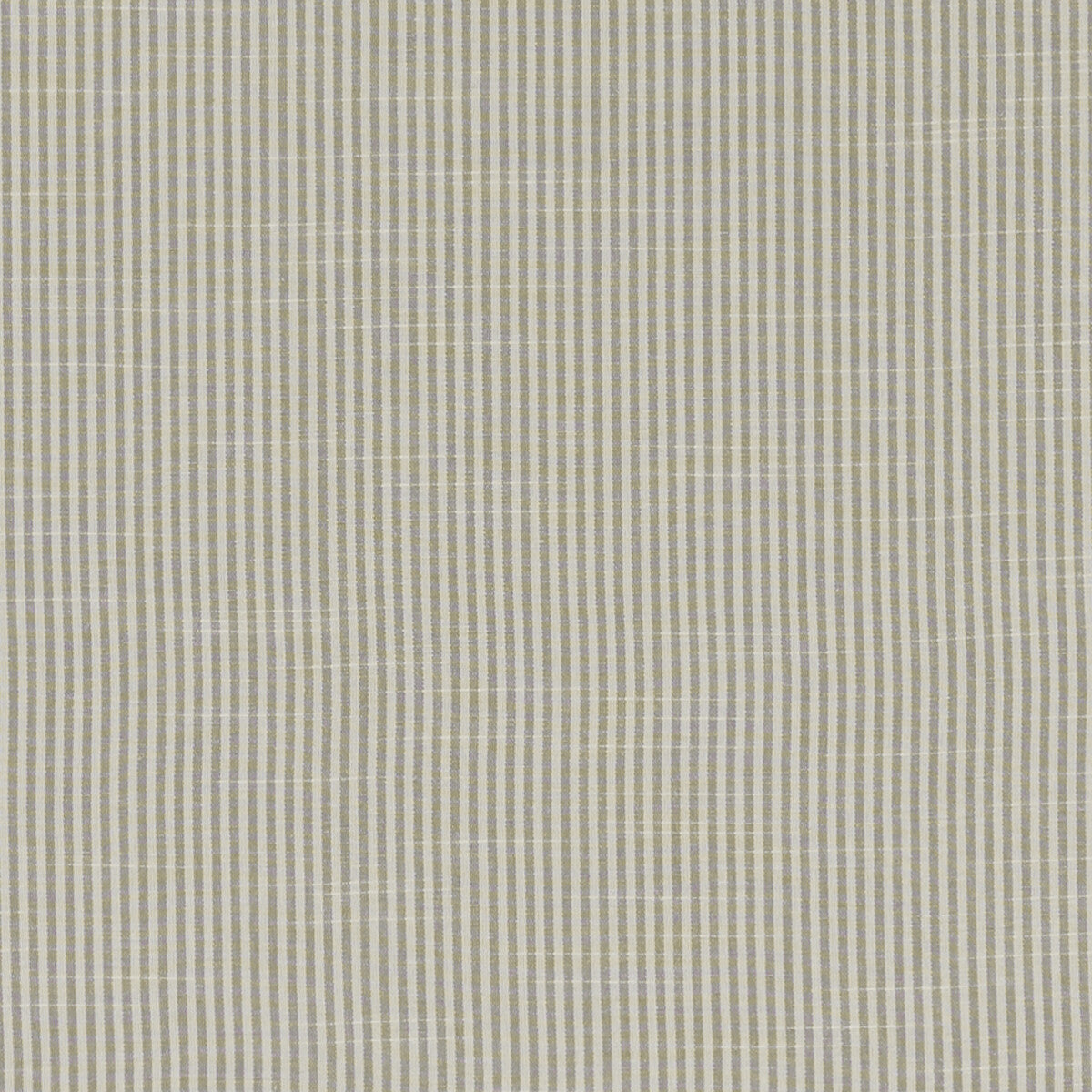 Bempton fabric in grey color - pattern F1307/05.CAC.0 - by Clarke And Clarke in the Bempton By Studio G For C&C collection
