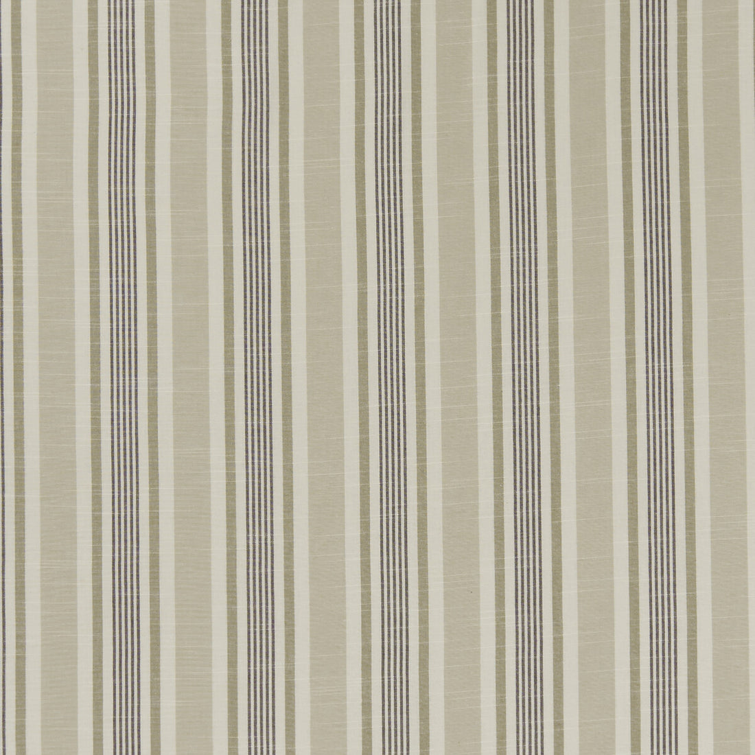 Mappleton fabric in charcoal color - pattern F1310/03.CAC.0 - by Clarke And Clarke in the Bempton By Studio G For C&amp;C collection