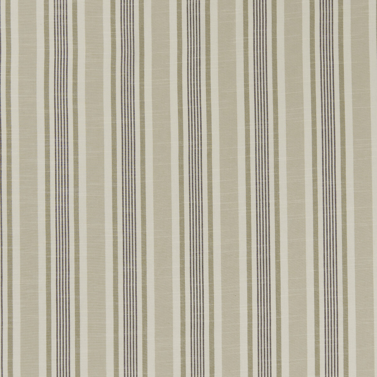 Mappleton fabric in charcoal color - pattern F1310/03.CAC.0 - by Clarke And Clarke in the Bempton By Studio G For C&C collection