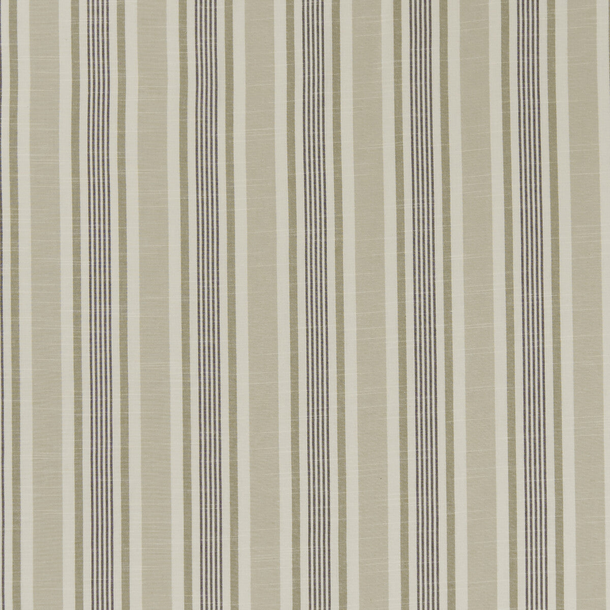 Mappleton fabric in charcoal color - pattern F1310/03.CAC.0 - by Clarke And Clarke in the Bempton By Studio G For C&amp;C collection