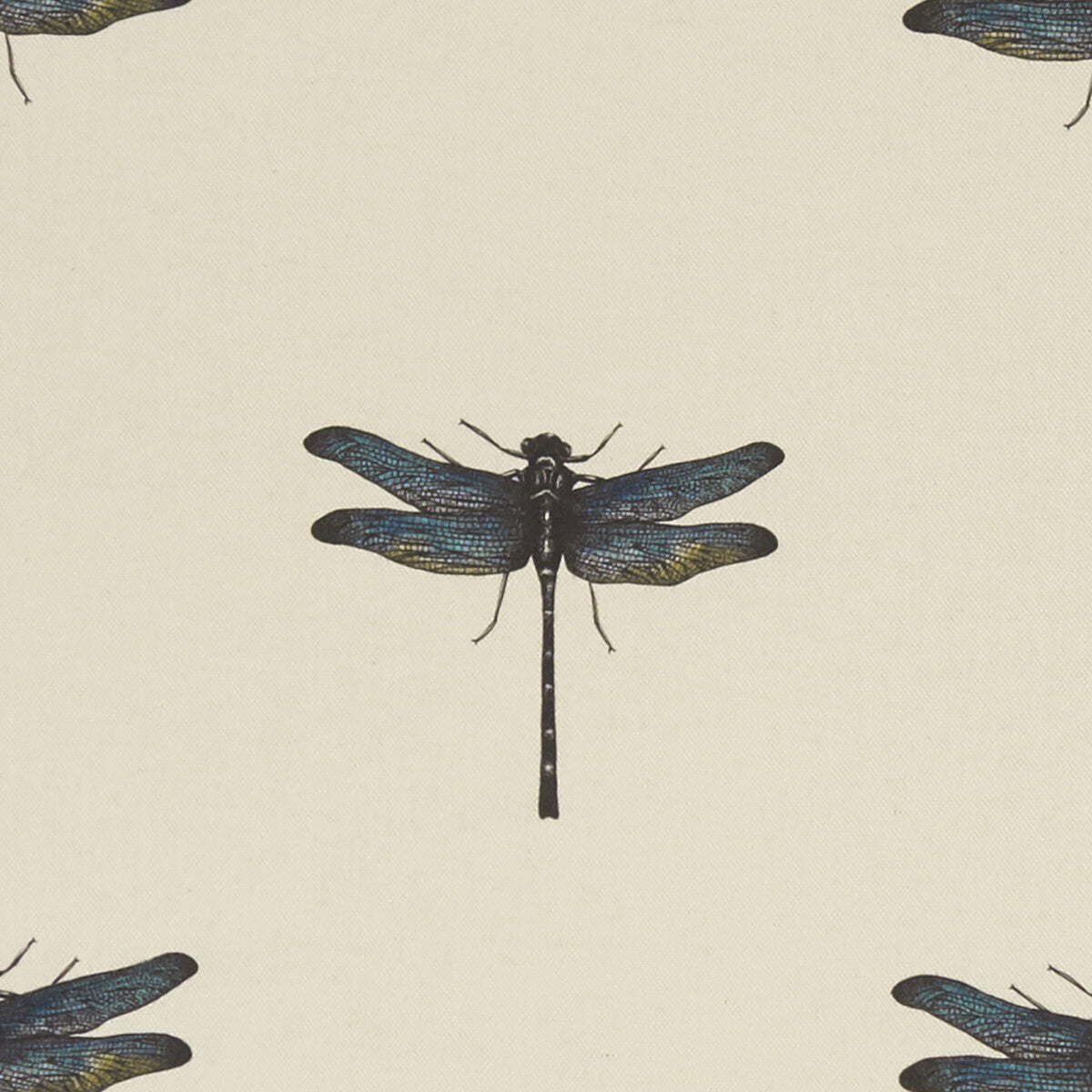 Azure fabric in aqua color - pattern F1327/01.CAC.0 - by Clarke And Clarke in the Clarke & Clarke Eden collection