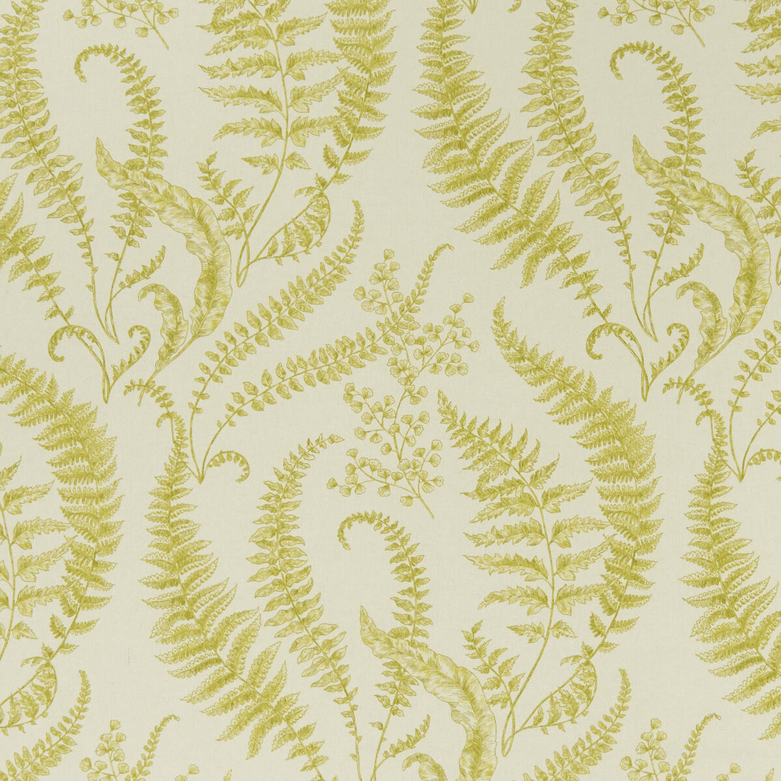 Folium fabric in chartreuse color - pattern F1328/01.CAC.0 - by Clarke And Clarke in the Clarke &amp; Clarke Eden collection