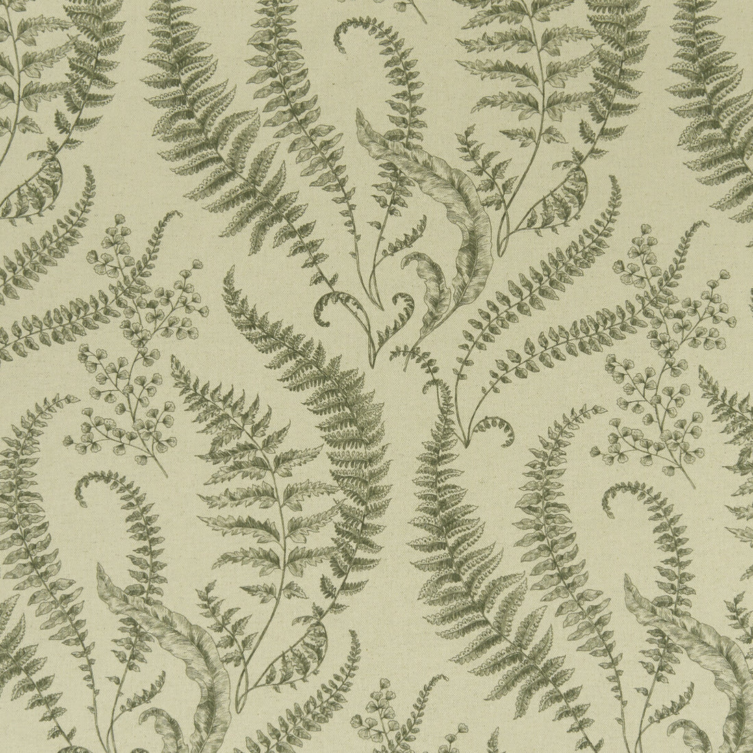 Folium fabric in forest color - pattern F1328/03.CAC.0 - by Clarke And Clarke in the Clarke &amp; Clarke Eden collection