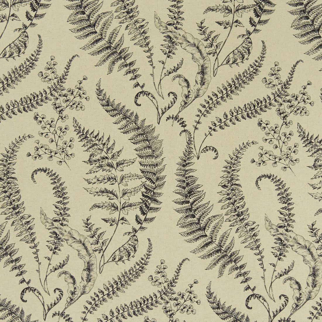 Folium fabric in linen color - pattern F1328/04.CAC.0 - by Clarke And Clarke in the Clarke &amp; Clarke Eden collection