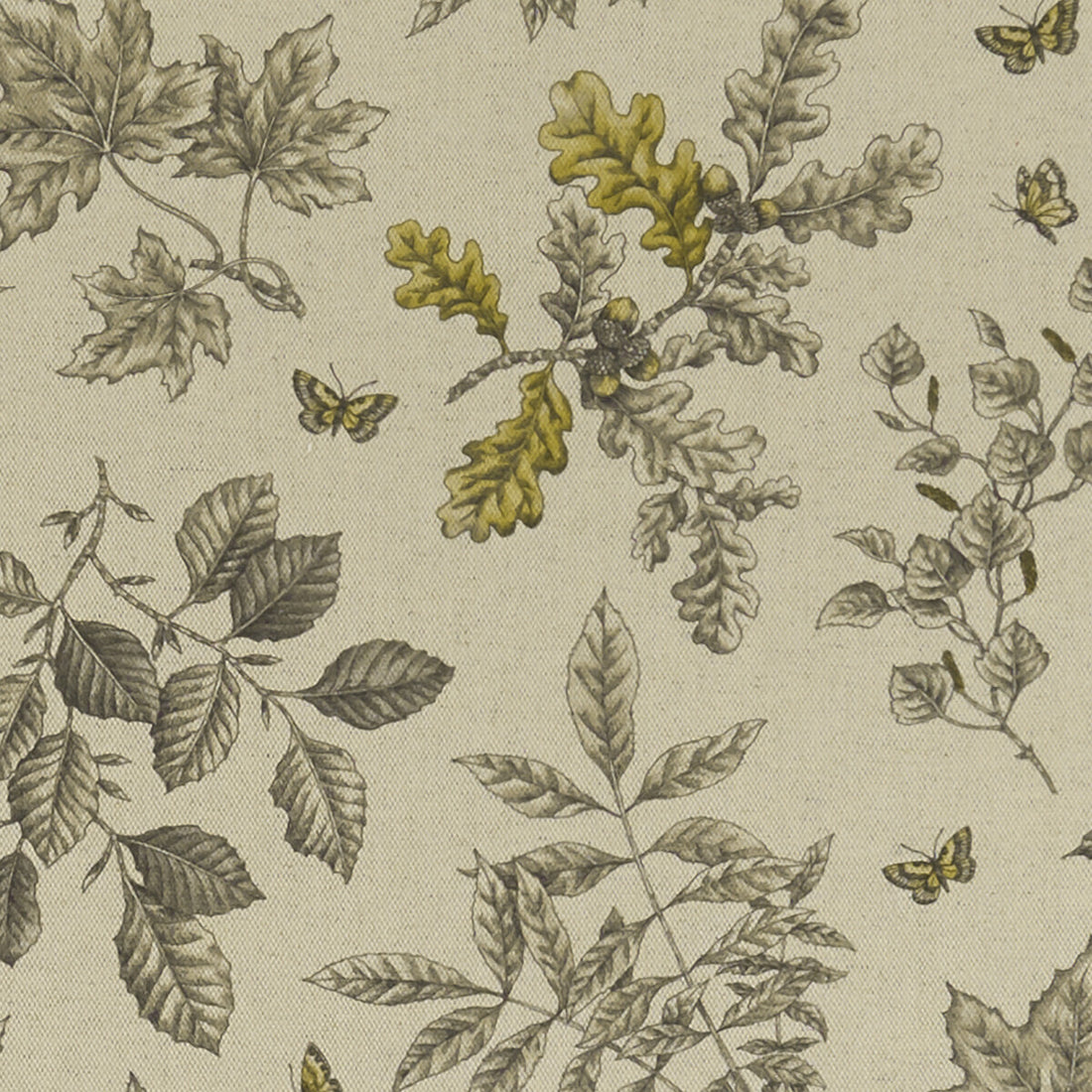 Hortus fabric in charcoal/ochre color - pattern F1329/02.CAC.0 - by Clarke And Clarke in the Clarke &amp; Clarke Eden collection