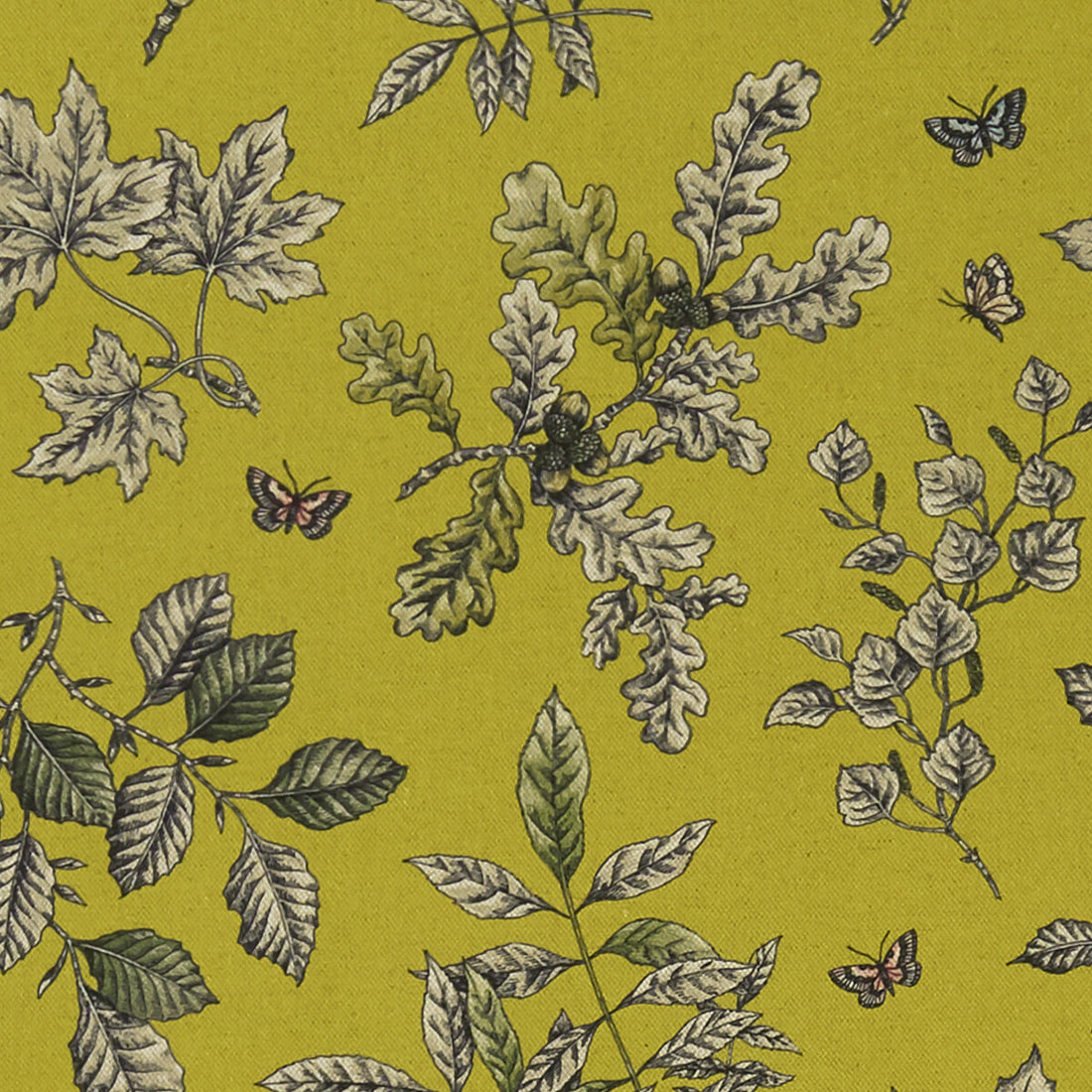 Hortus fabric in chartreuse color - pattern F1329/03.CAC.0 - by Clarke And Clarke in the Clarke &amp; Clarke Eden collection