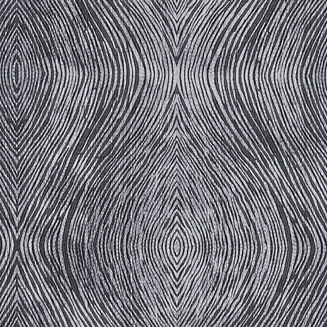 Luster fabric in charcoal color - pattern F1336/01.CAC.0 - by Clarke And Clarke in the Clarke &amp; Clarke Diffusion collection