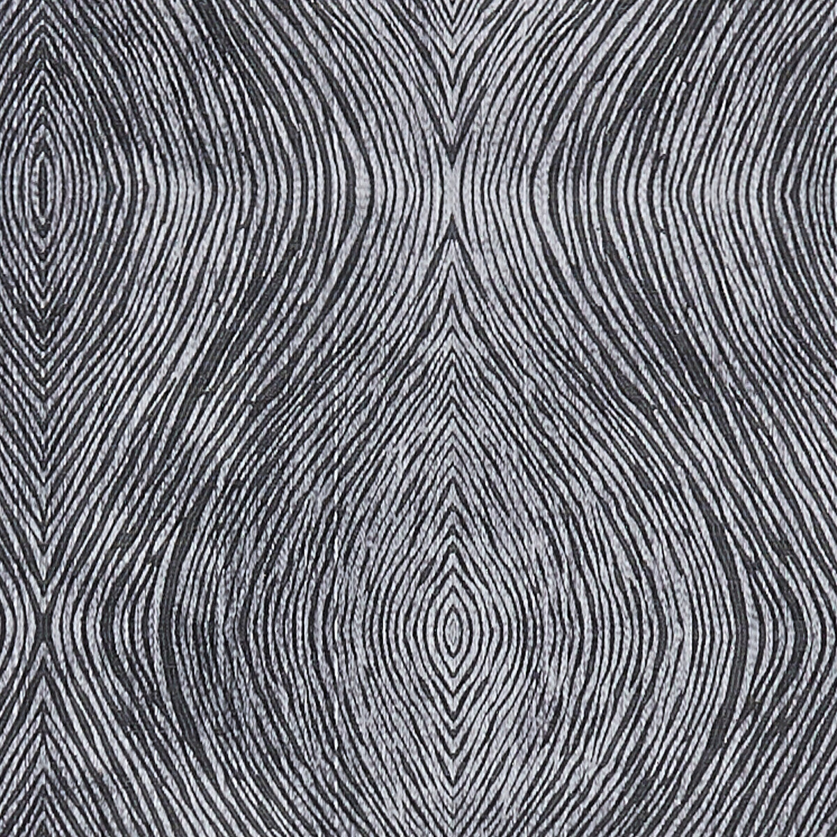 Luster fabric in charcoal color - pattern F1336/01.CAC.0 - by Clarke And Clarke in the Clarke & Clarke Diffusion collection